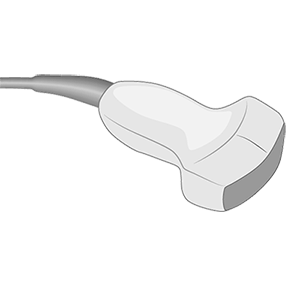 C60xi