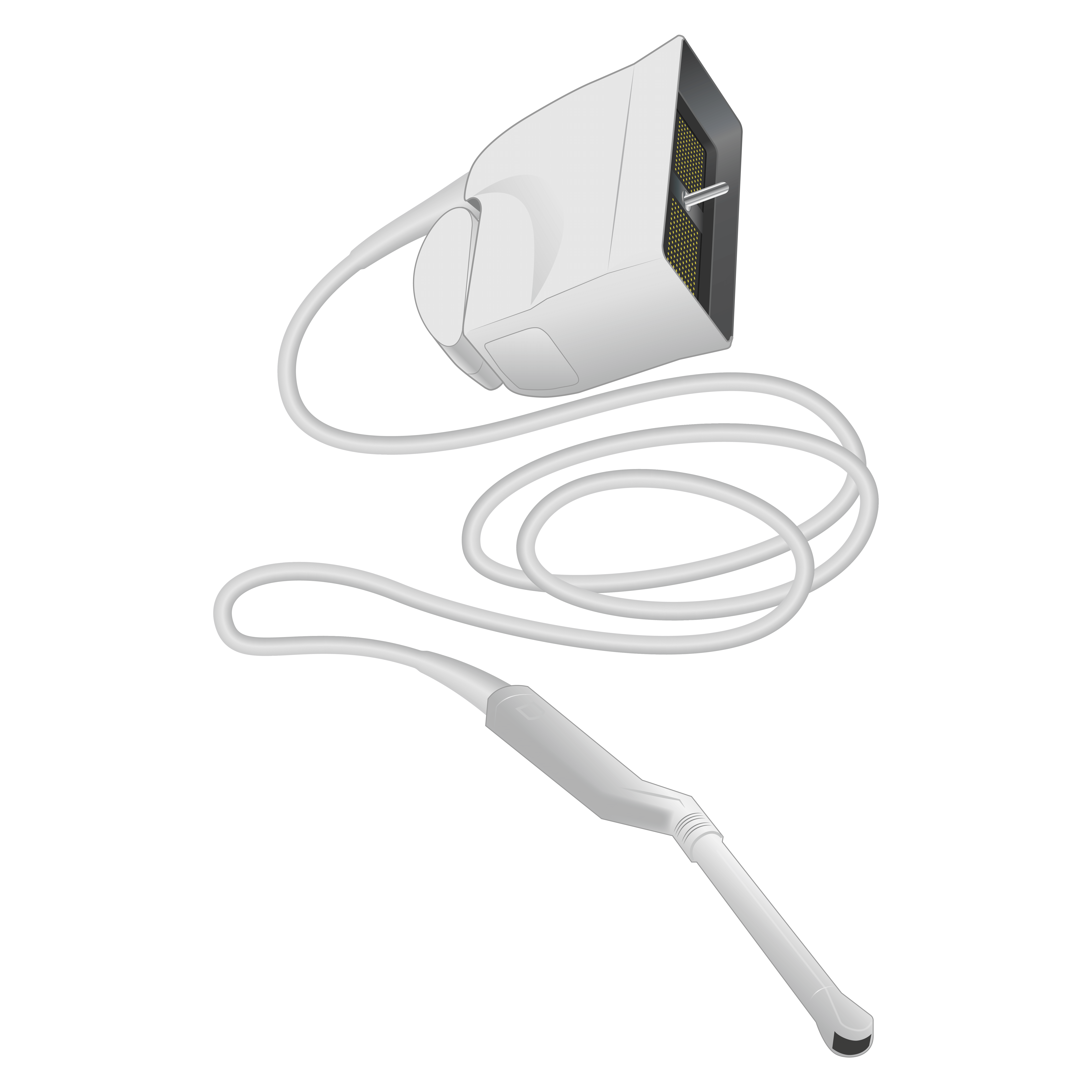 elzhen.com