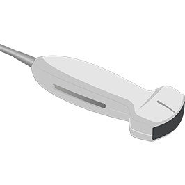 C60v