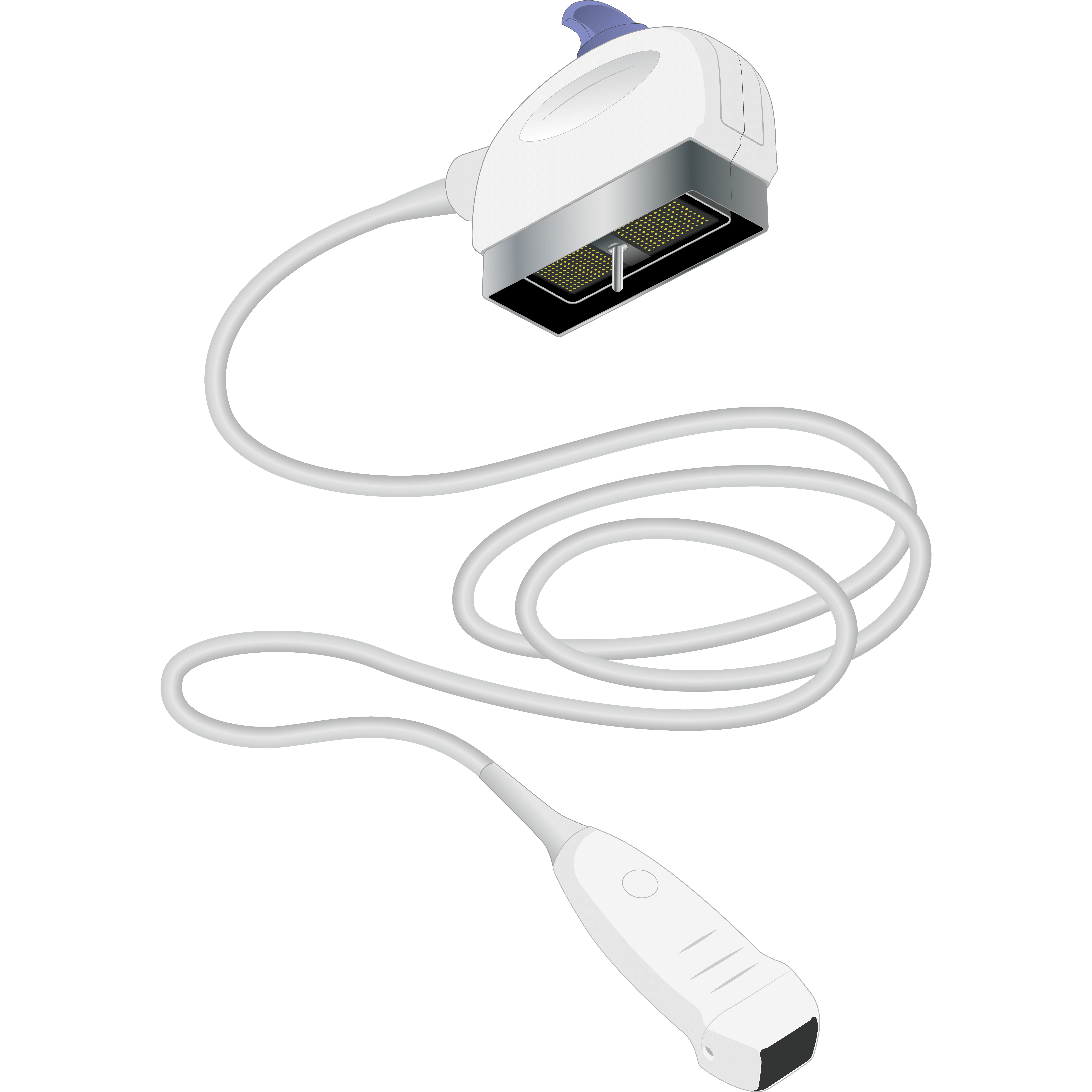 elzhen.com