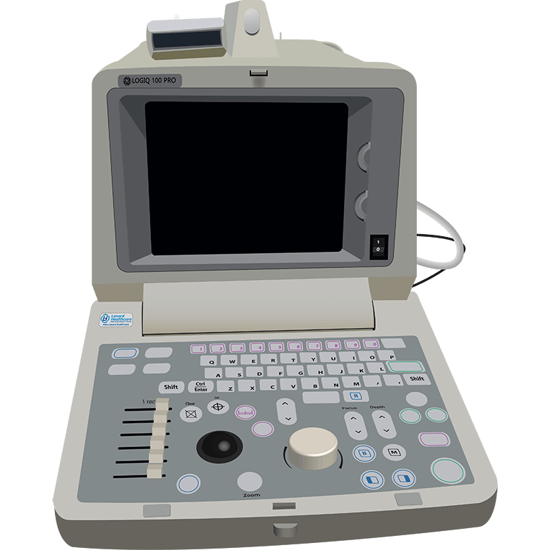 elzhen.com