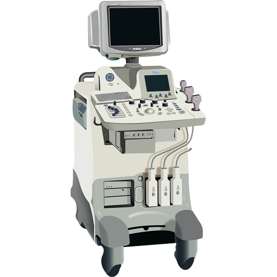 elzhen.com