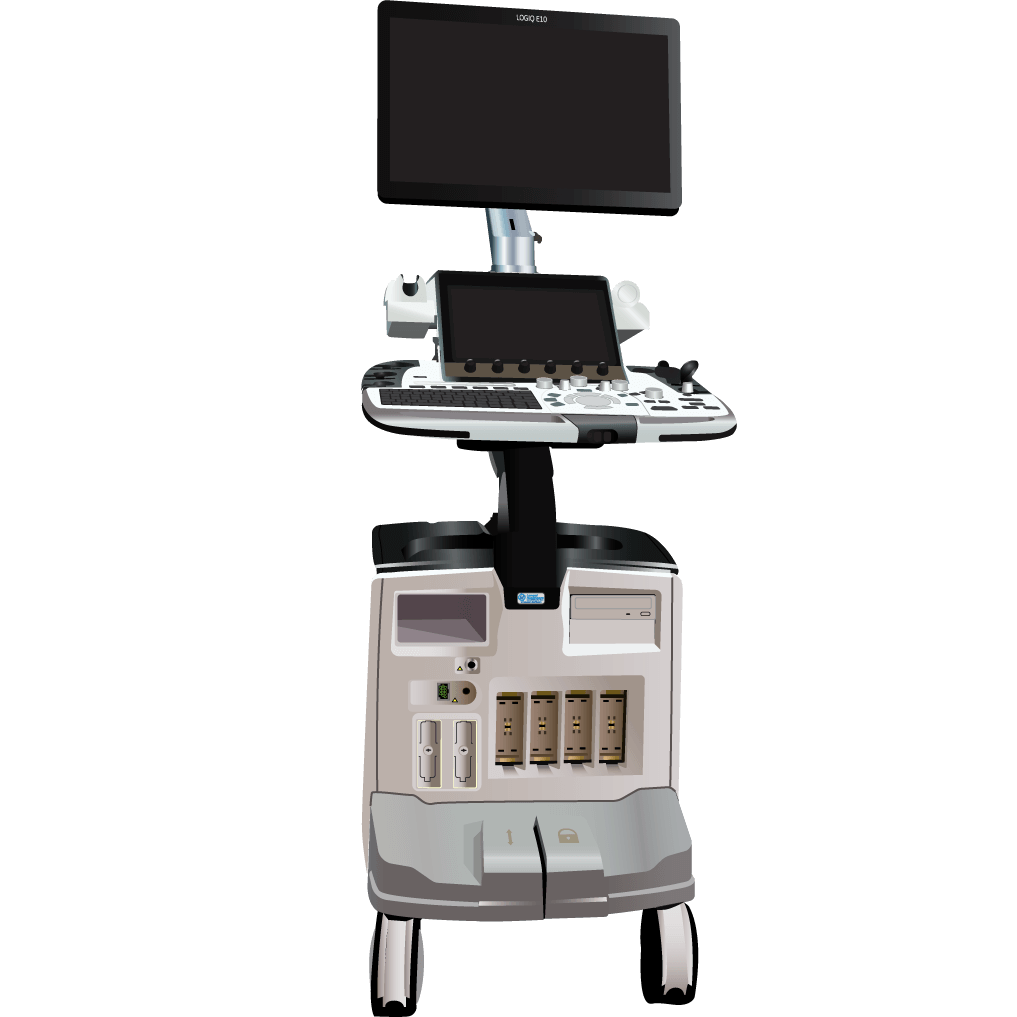 elzhen.com