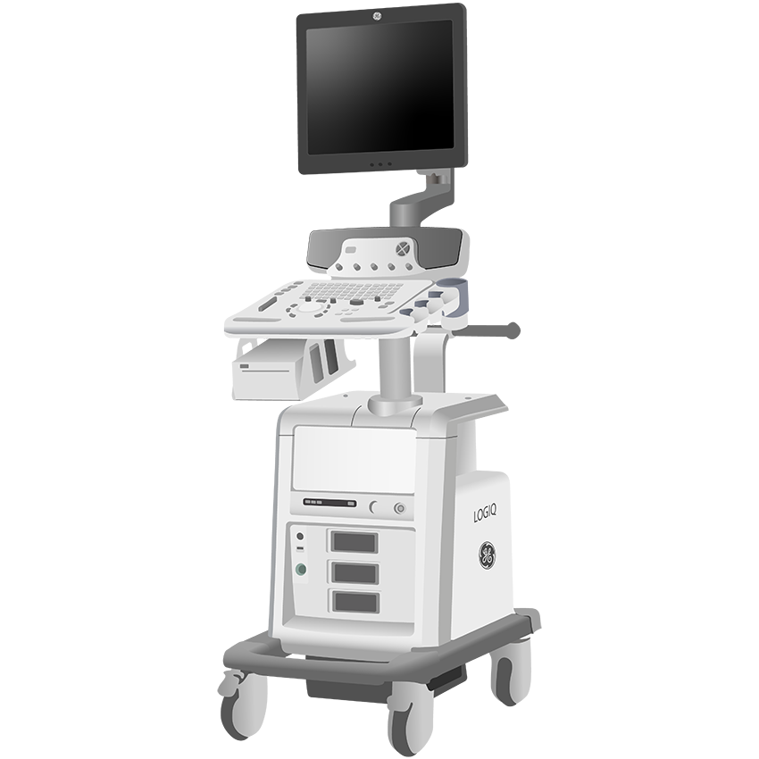 elzhen.com