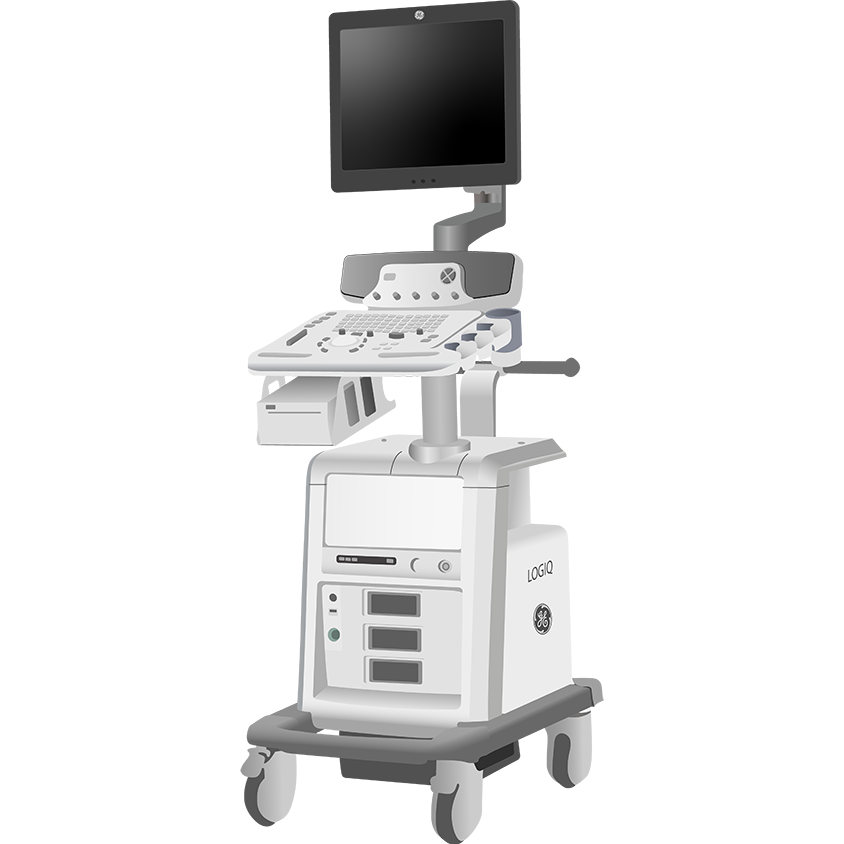 elzhen.com