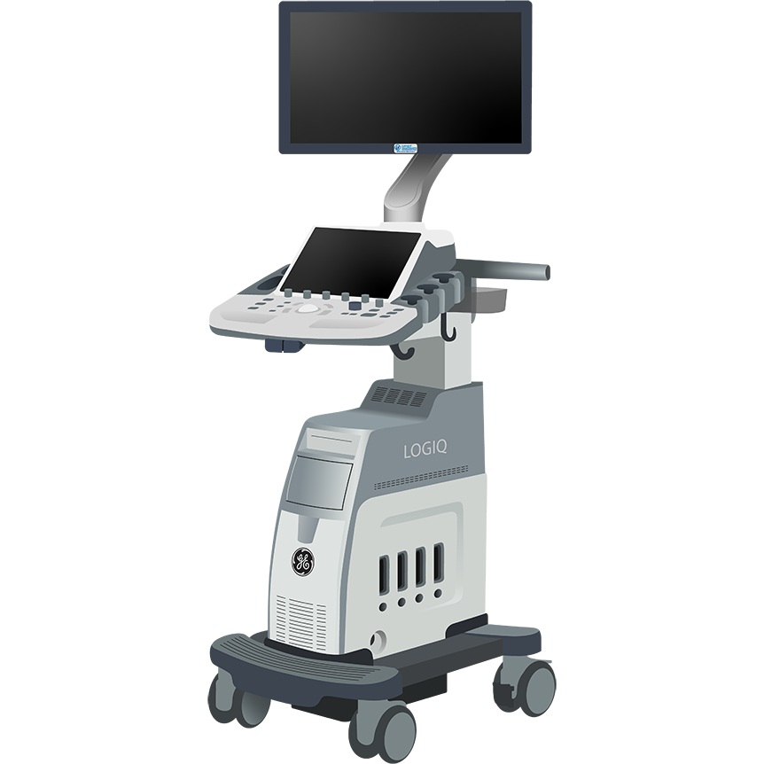 elzhen.com