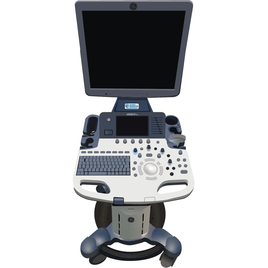 elzhen.com