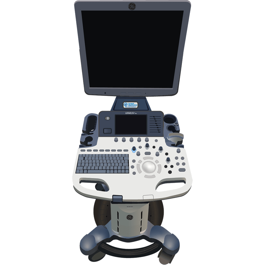 elzhen.com