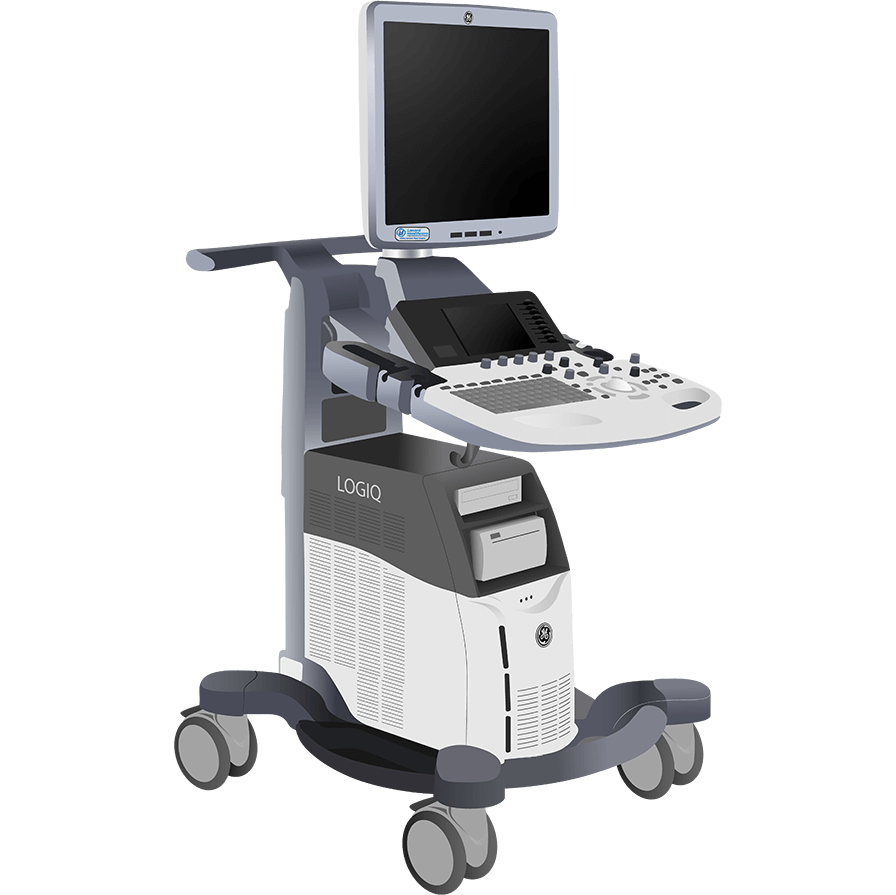 elzhen.com