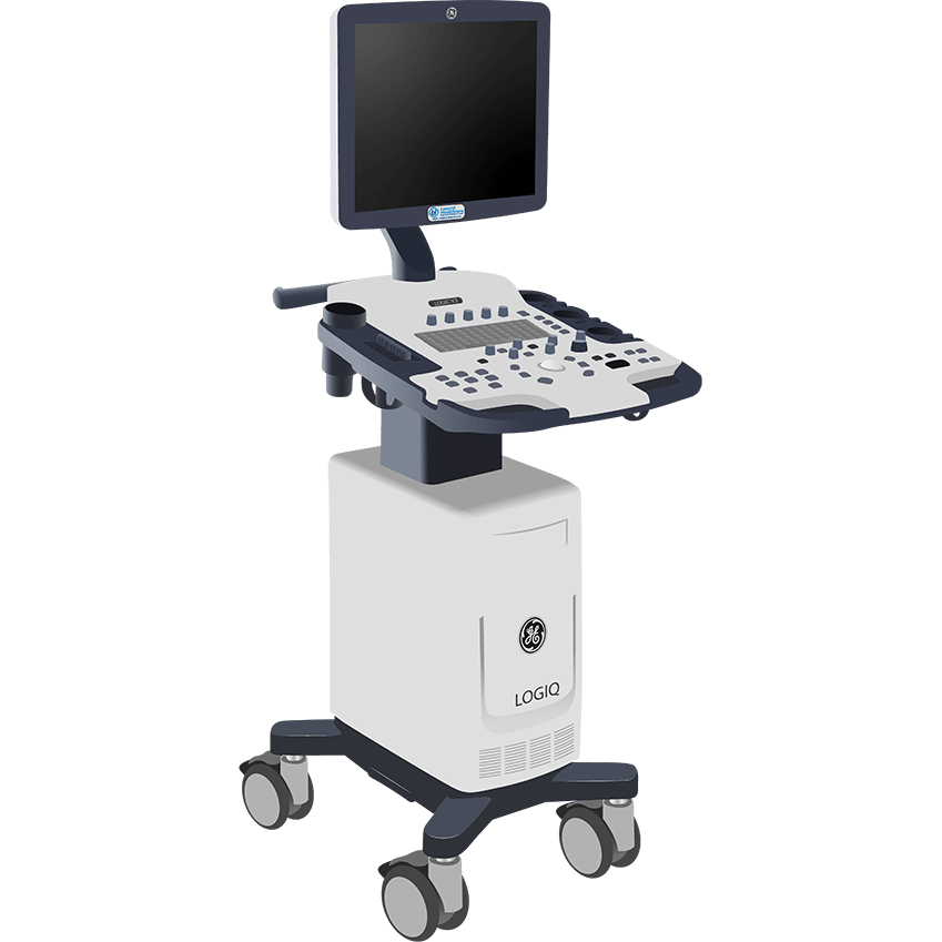 elzhen.com