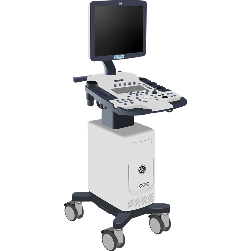 elzhen.com