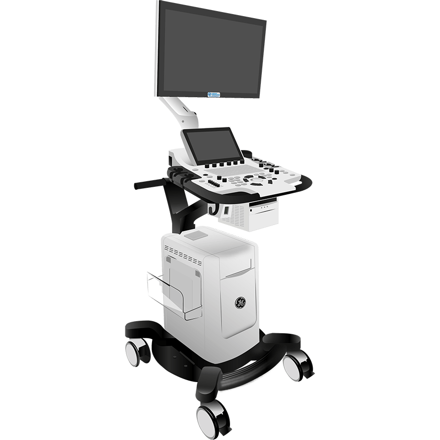 elzhen.com