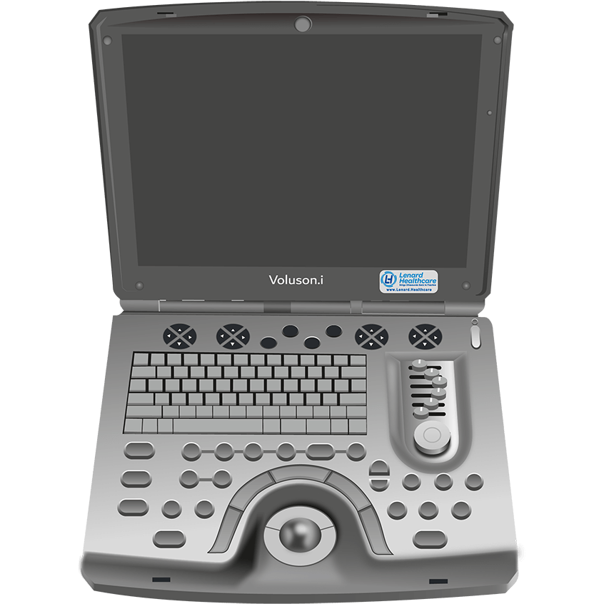 elzhen.com