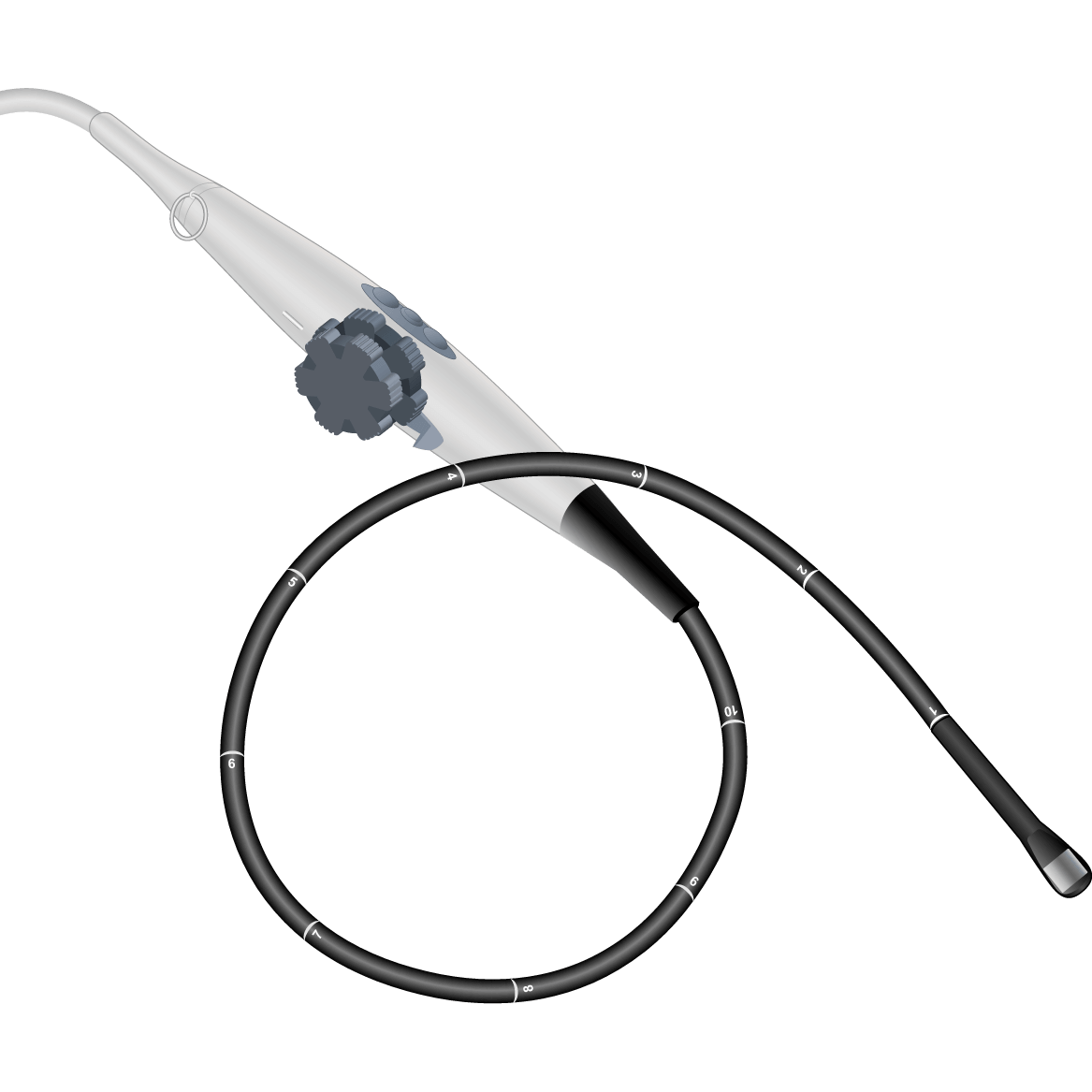 6T-OR-TEE