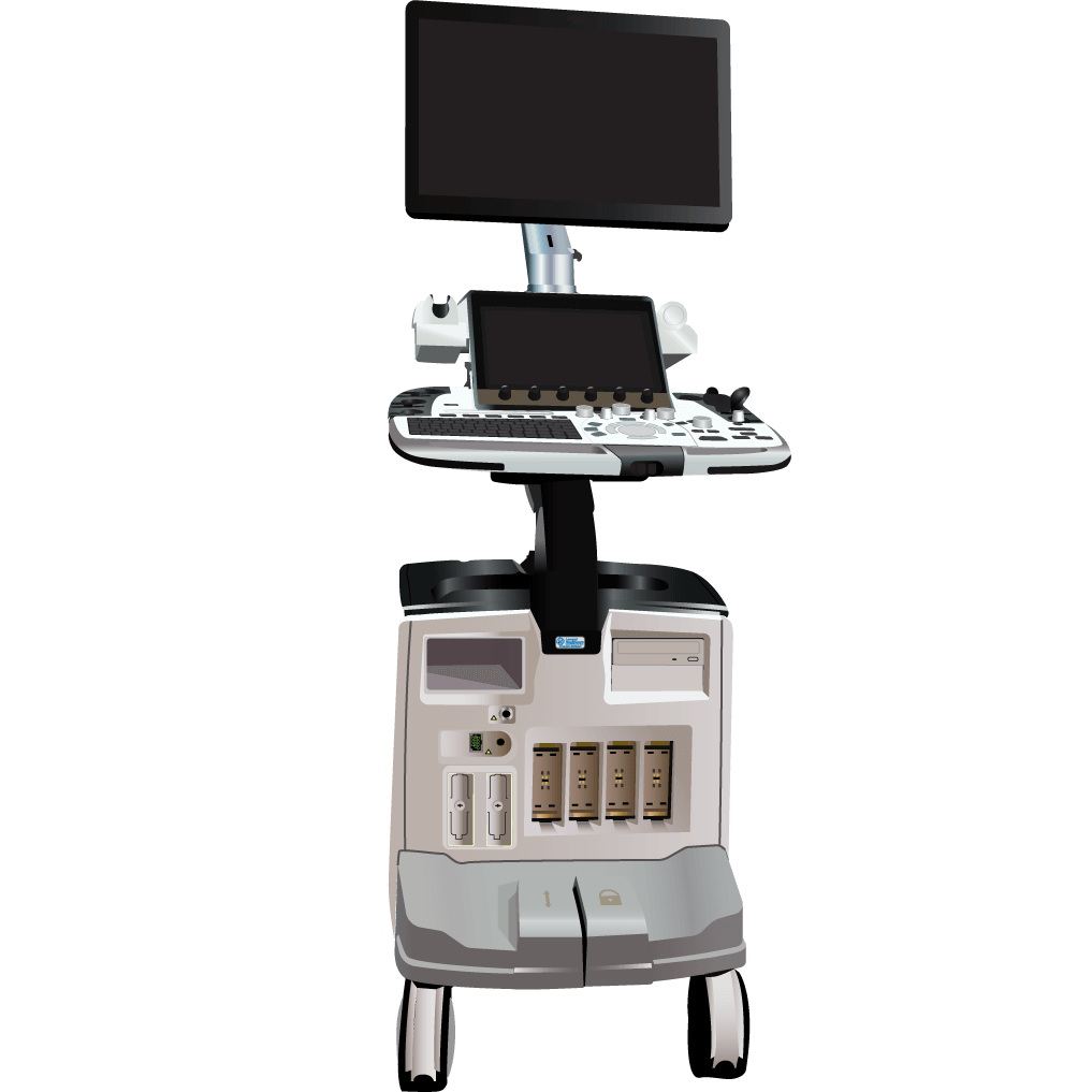 elzhen.com