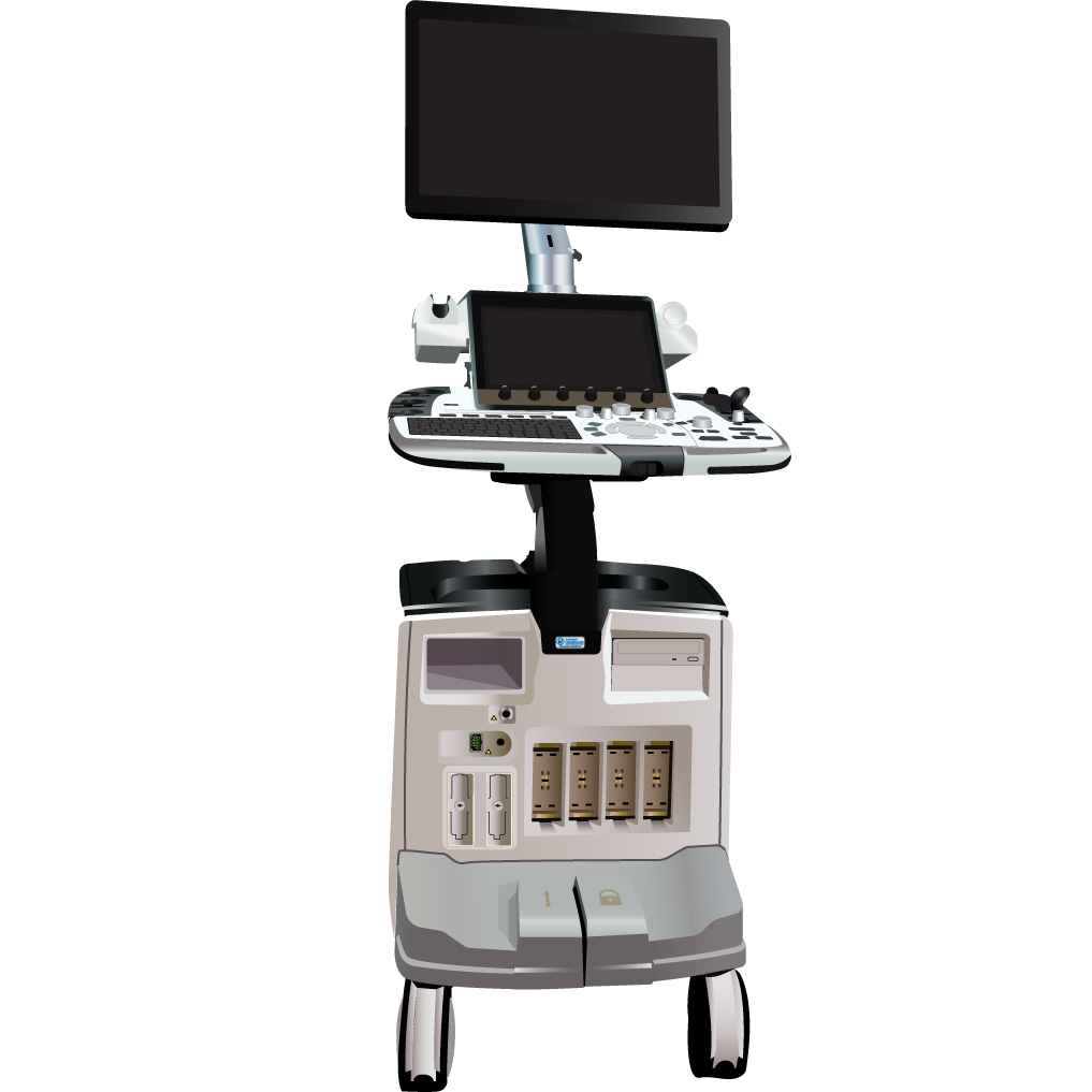 elzhen.com