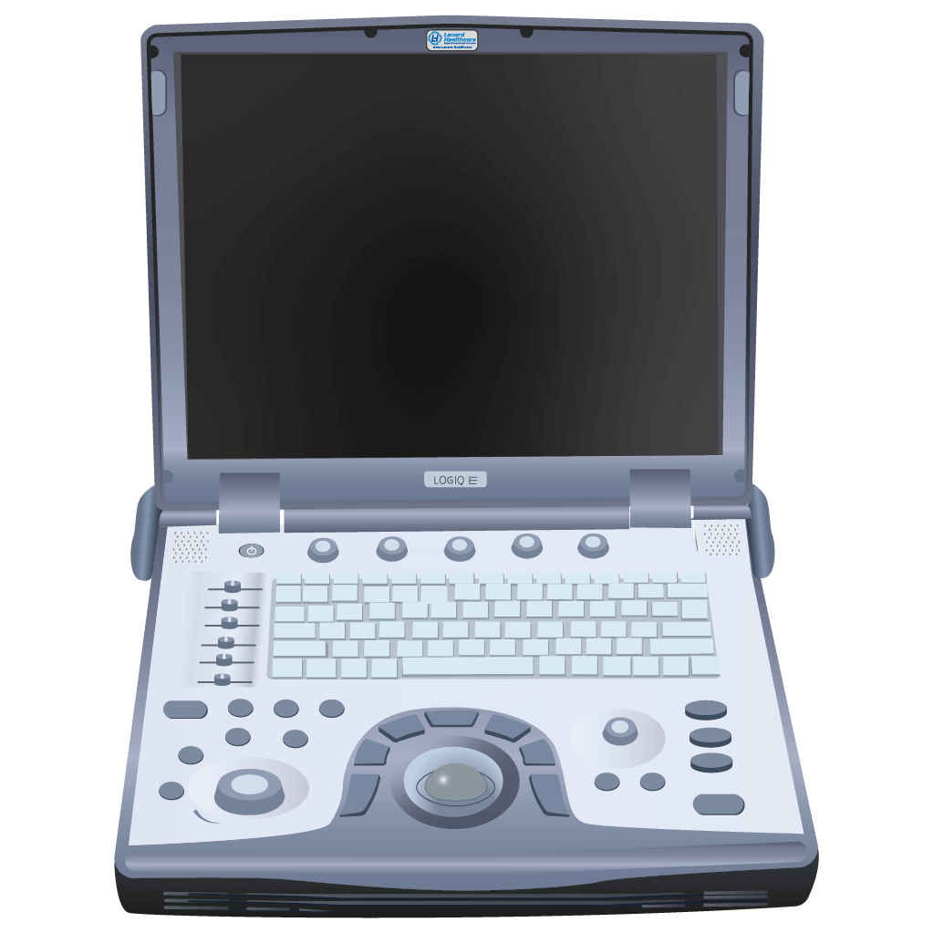 elzhen.com