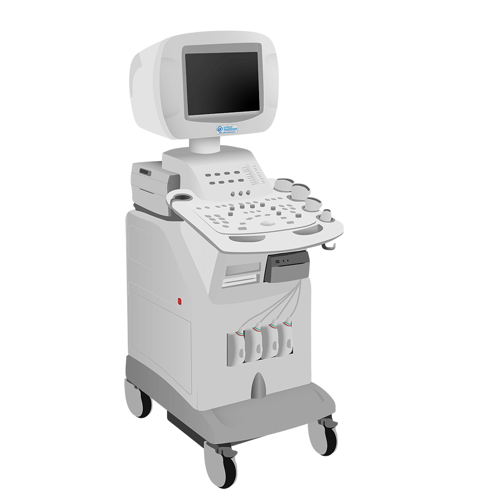 elzhen.com