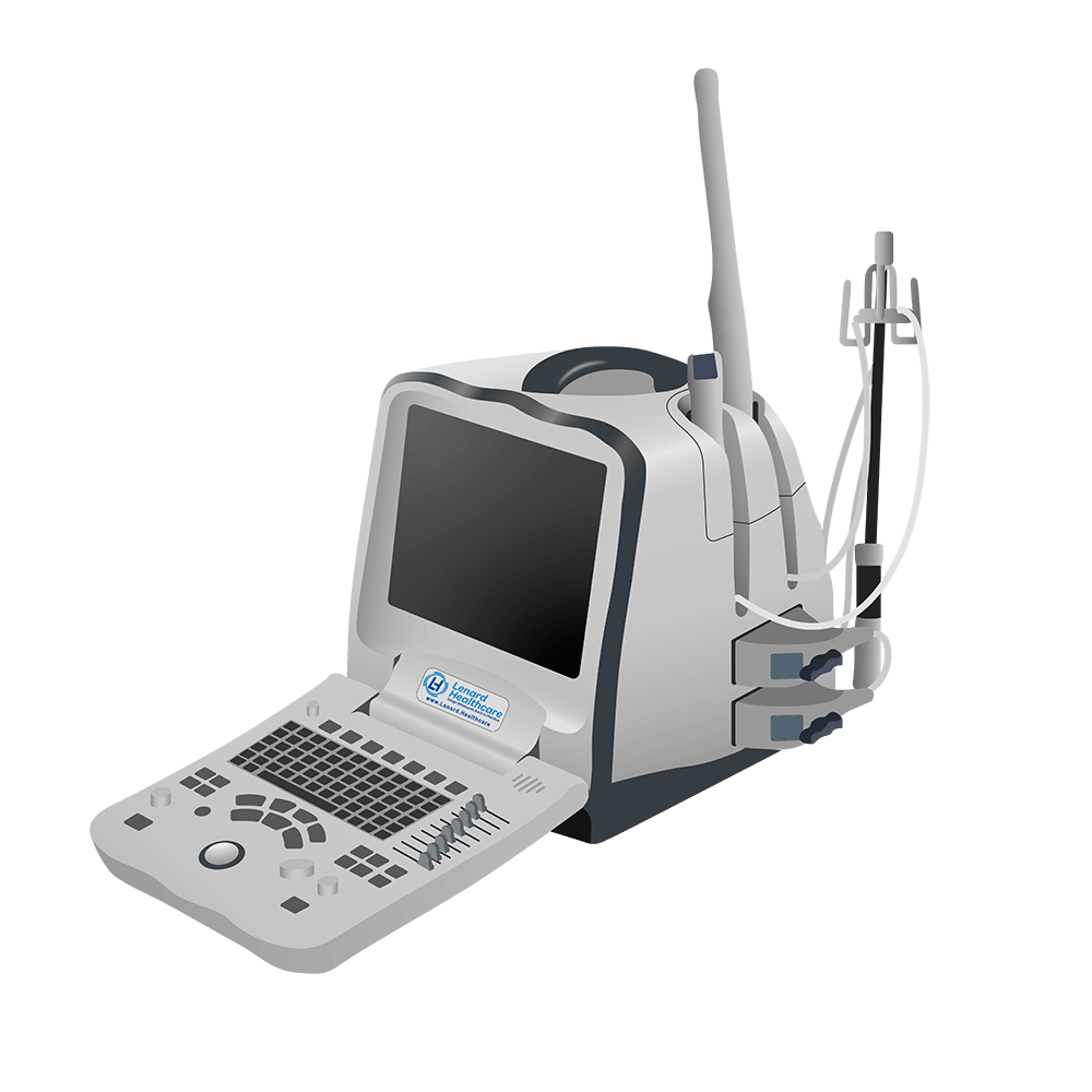 elzhen.com