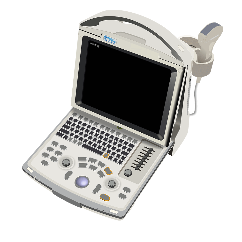 elzhen.com