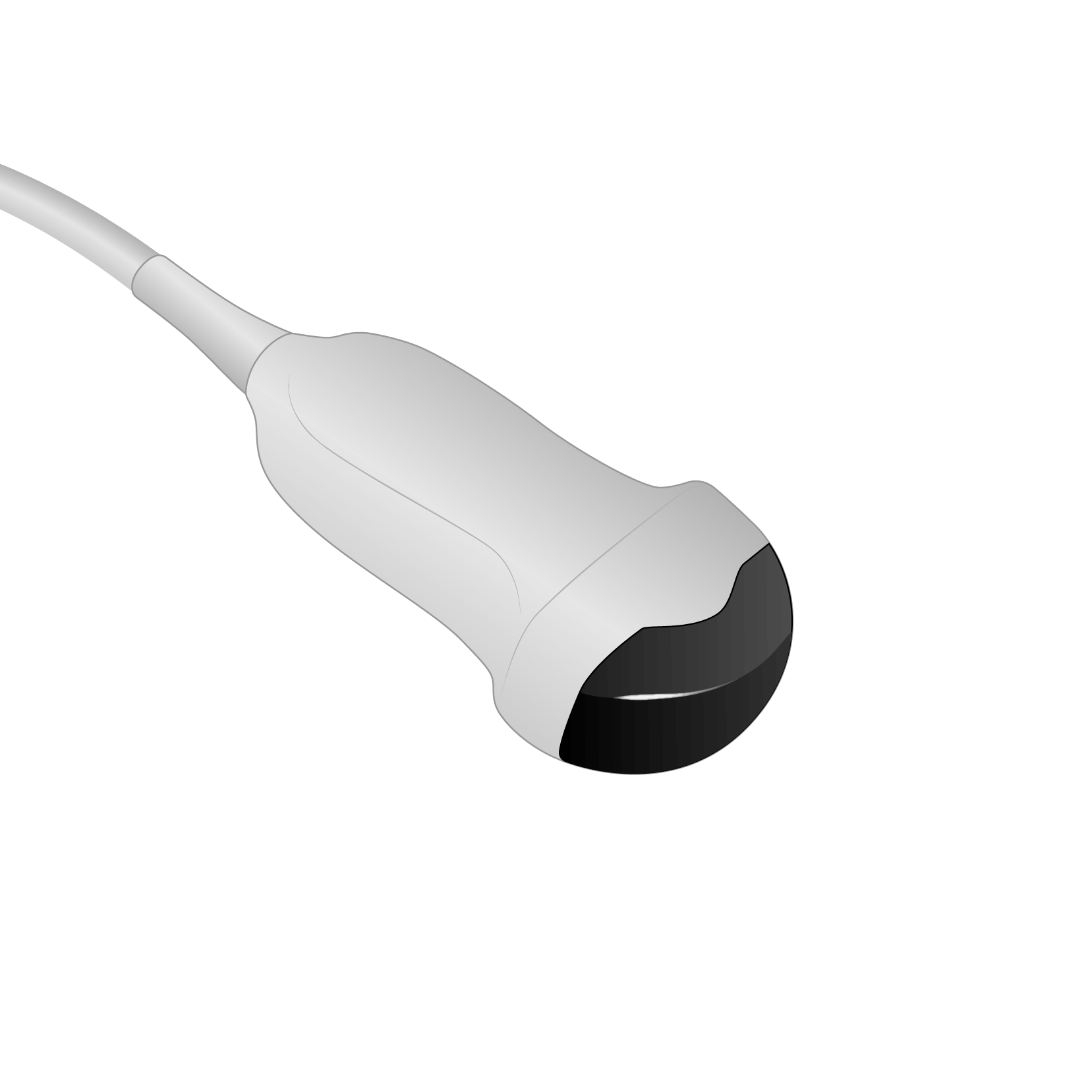 C8-3 3D