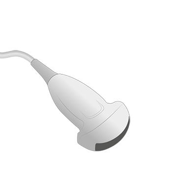 SC8-2s