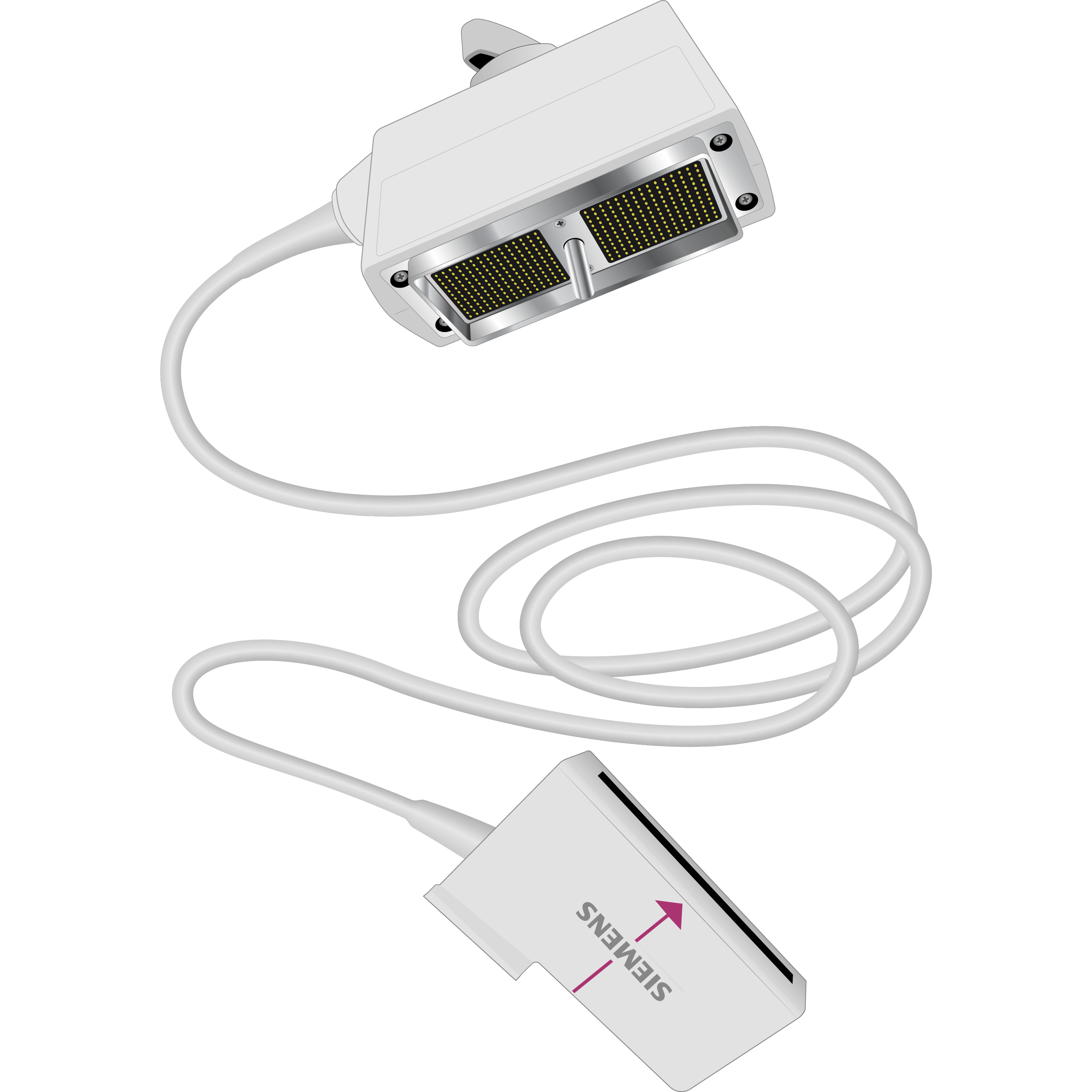 elzhen.com