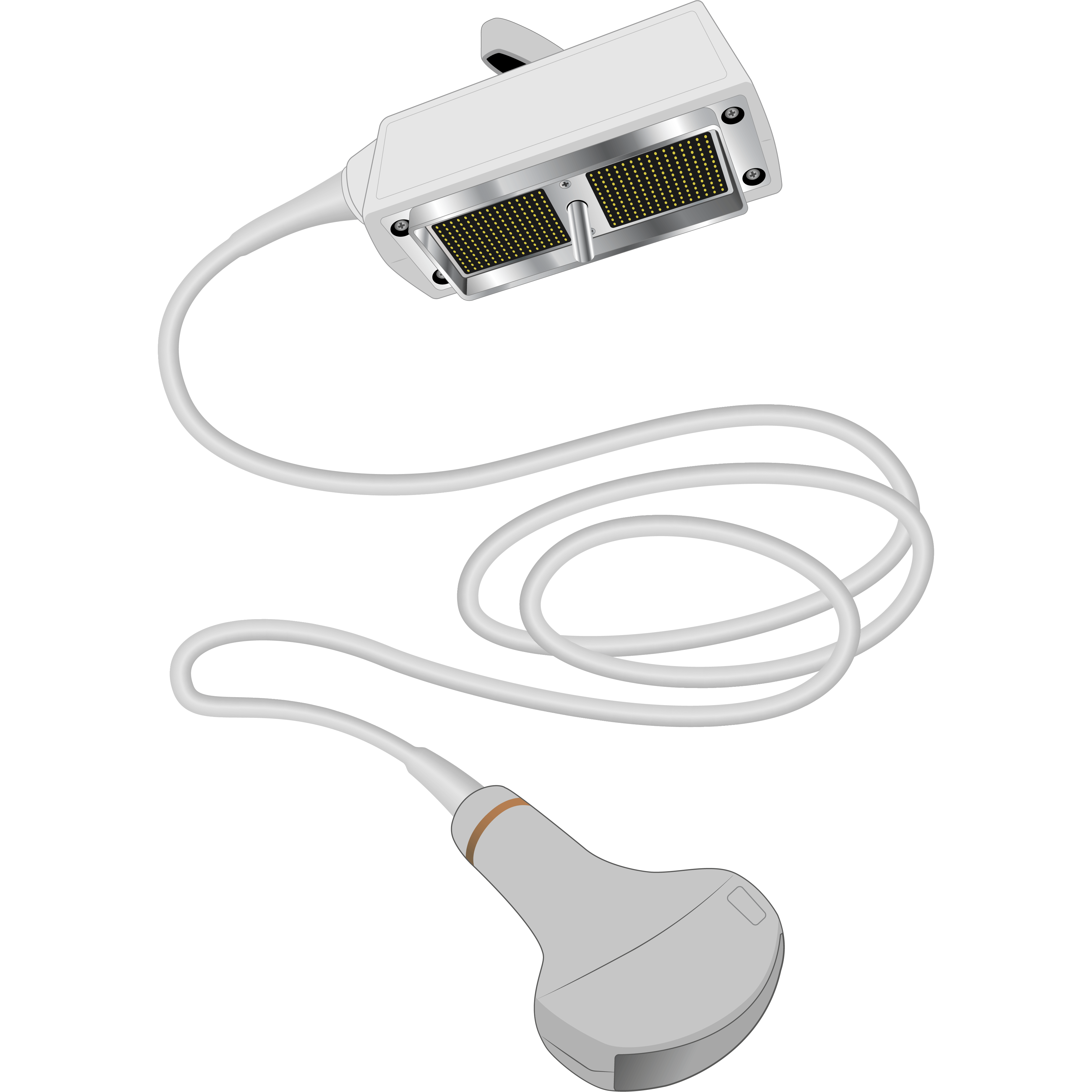 elzhen.com
