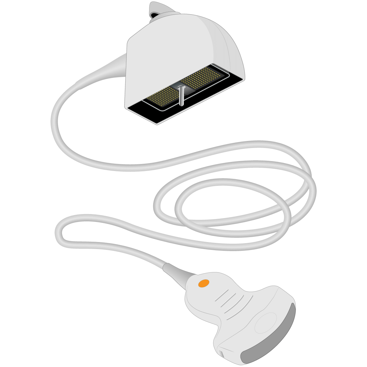 elzhen.com