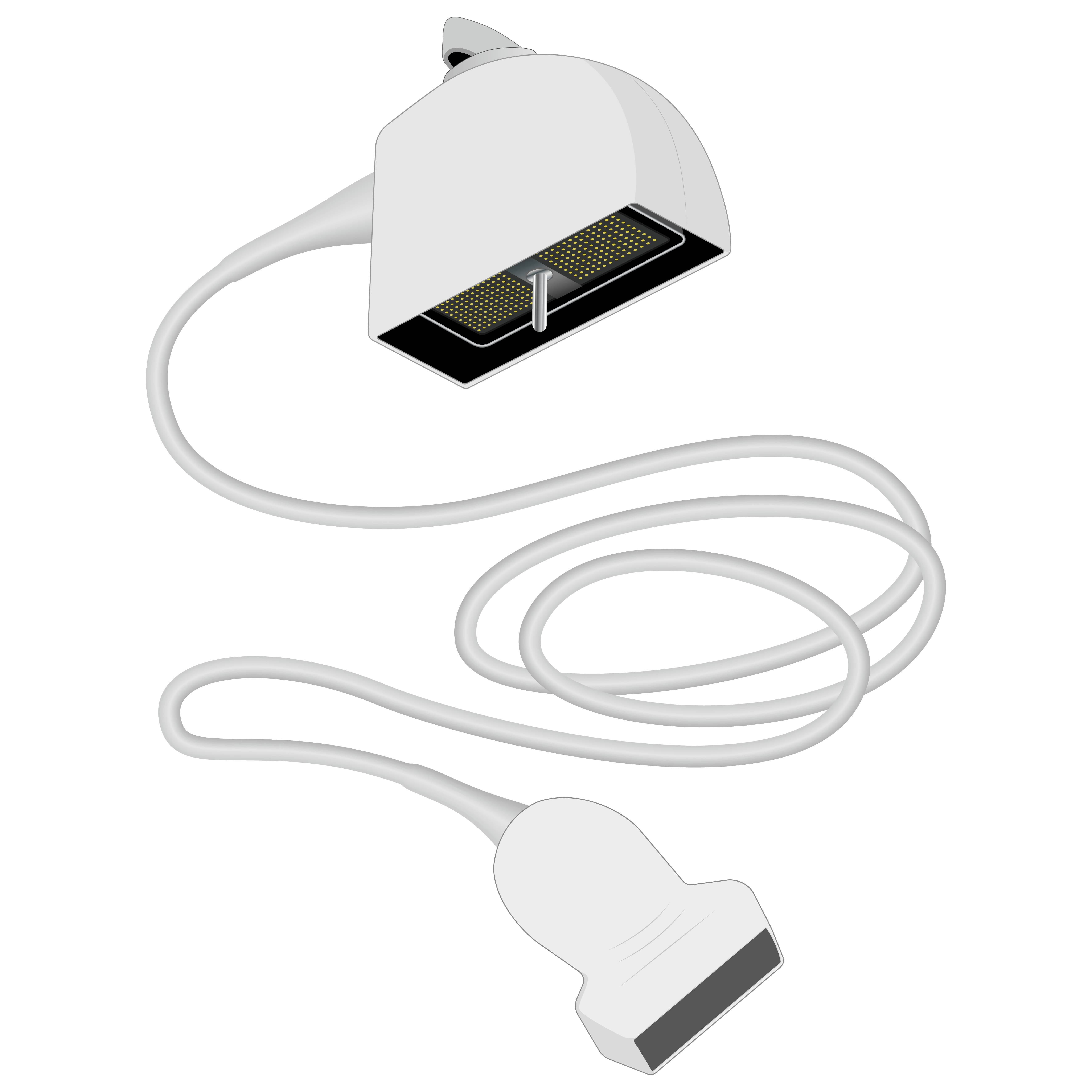 elzhen.com