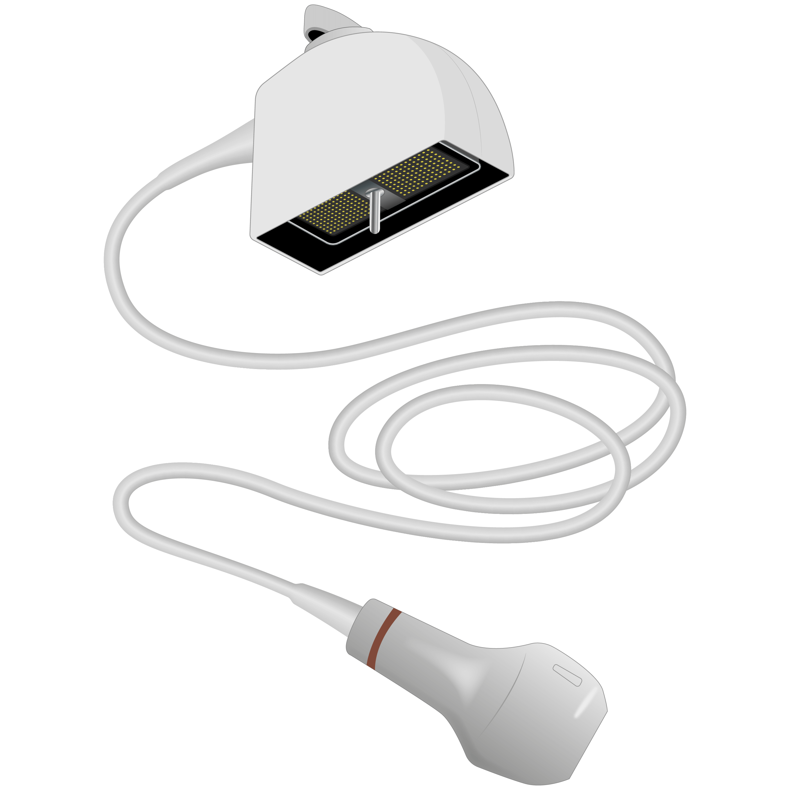 elzhen.com