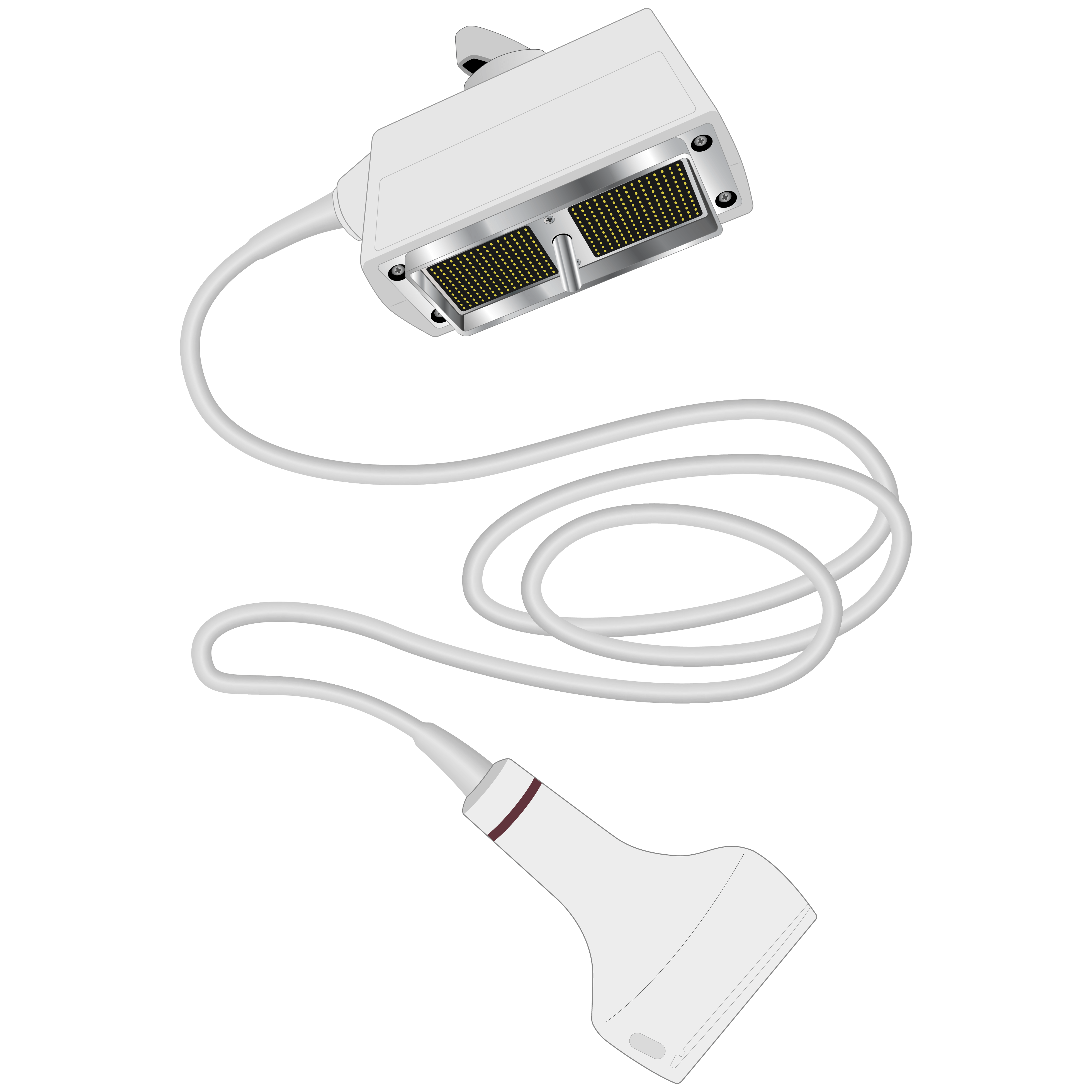 elzhen.com