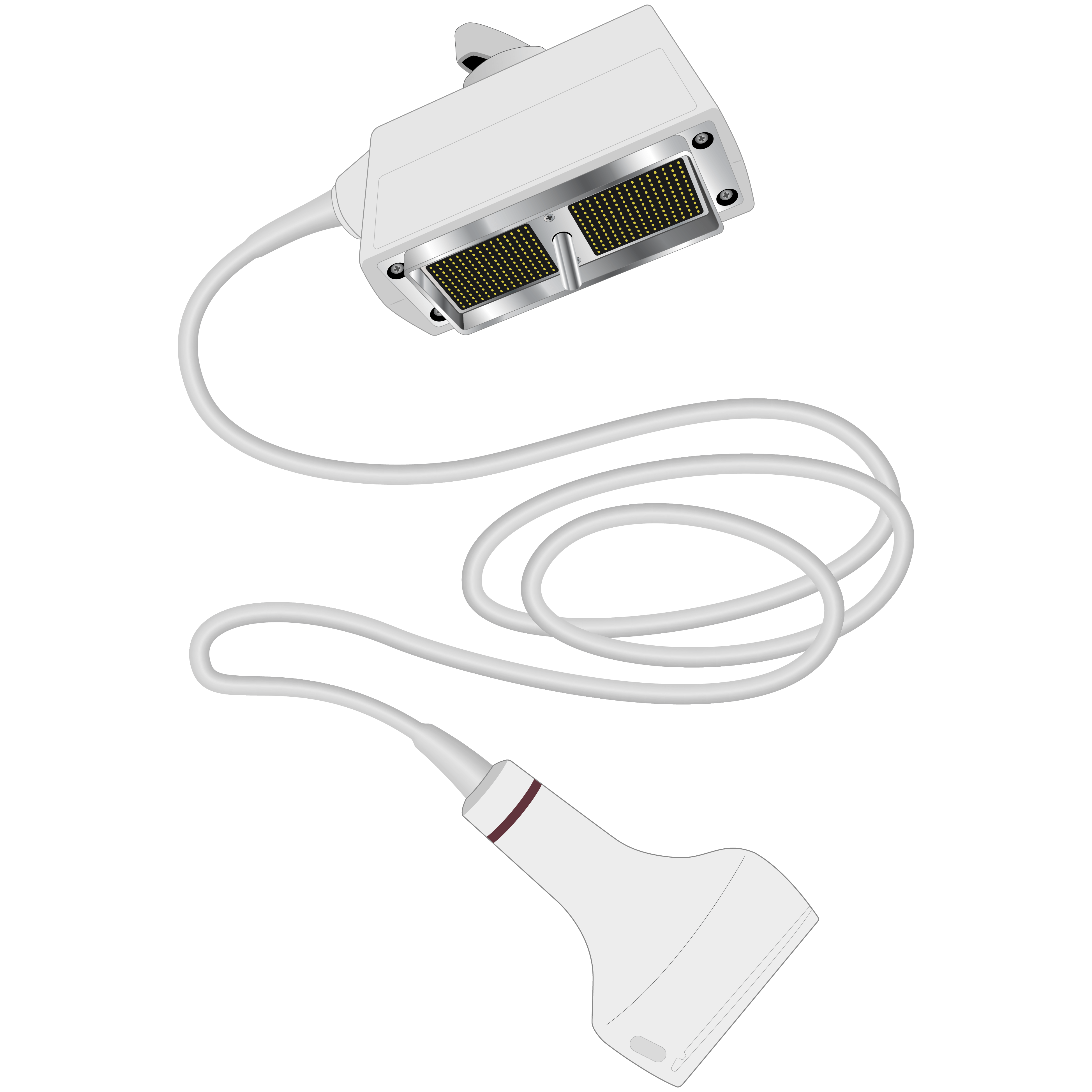 elzhen.com