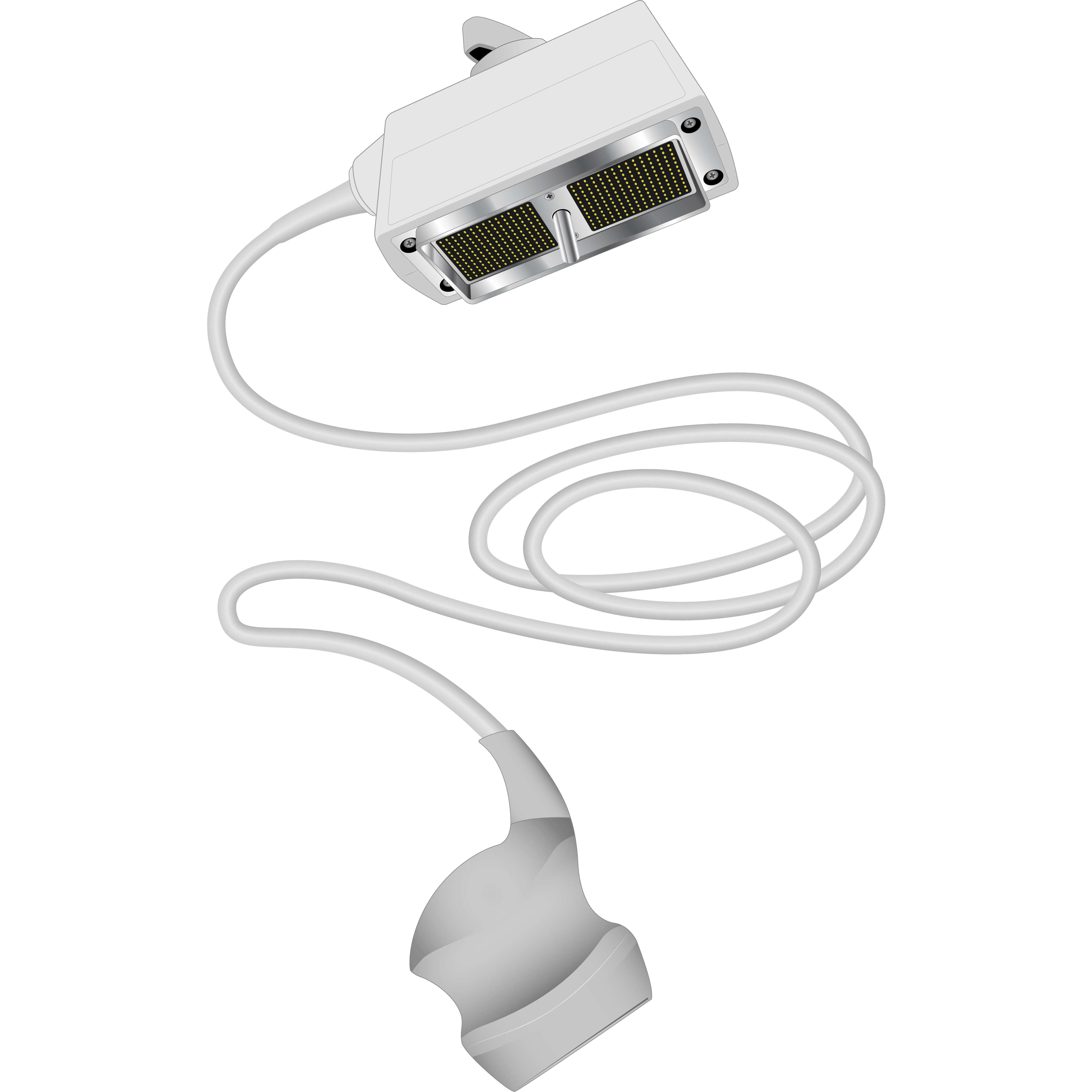 elzhen.com