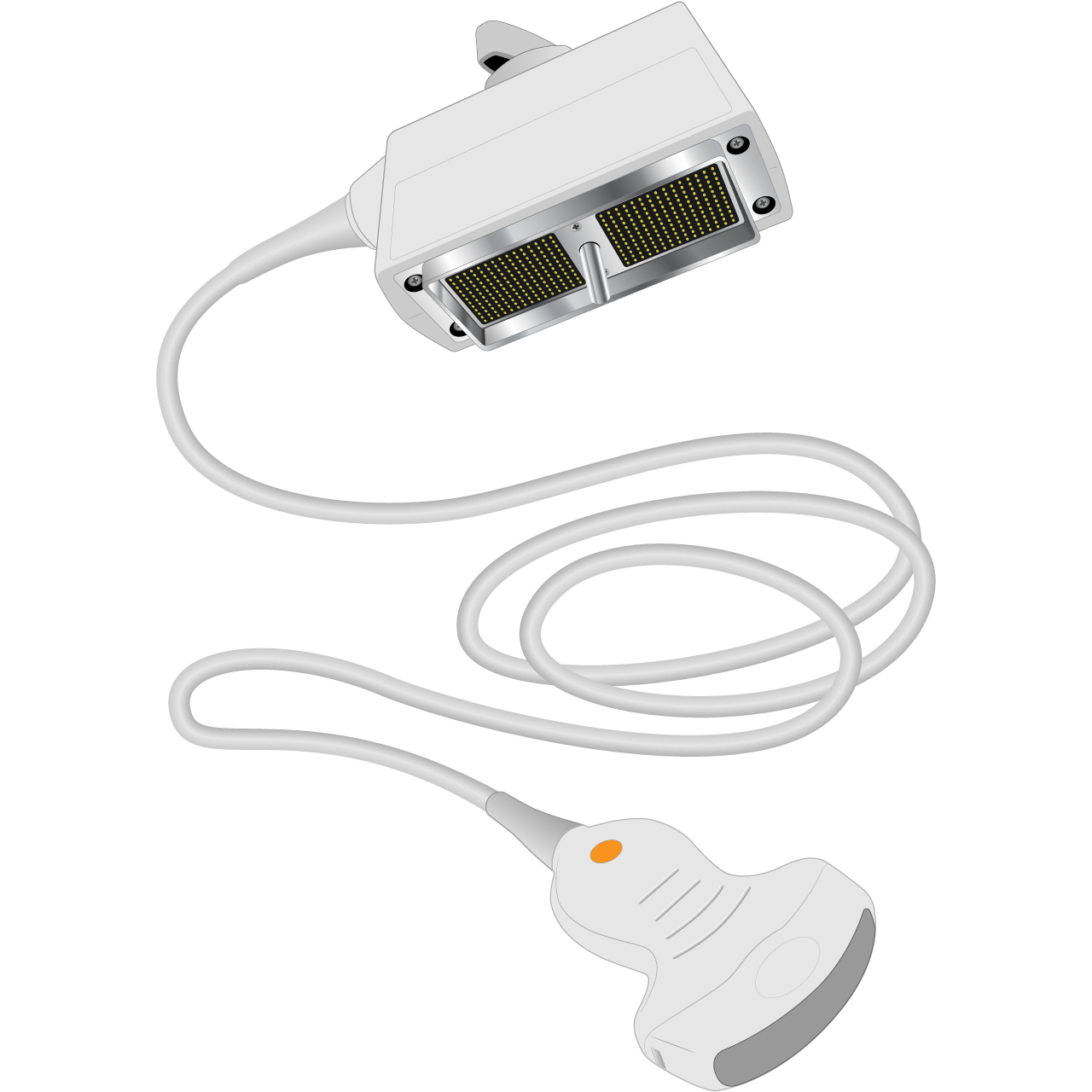 elzhen.com