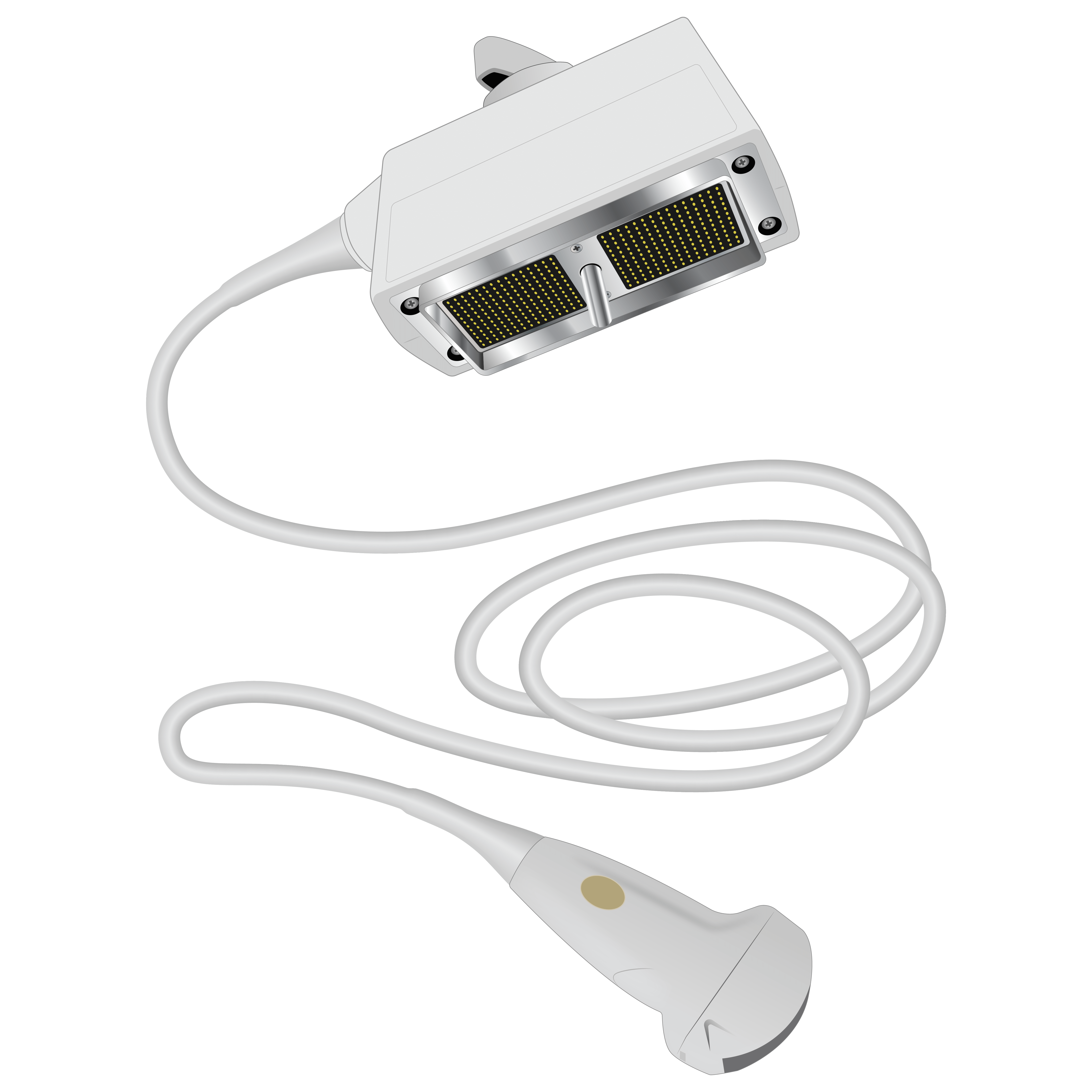 elzhen.com