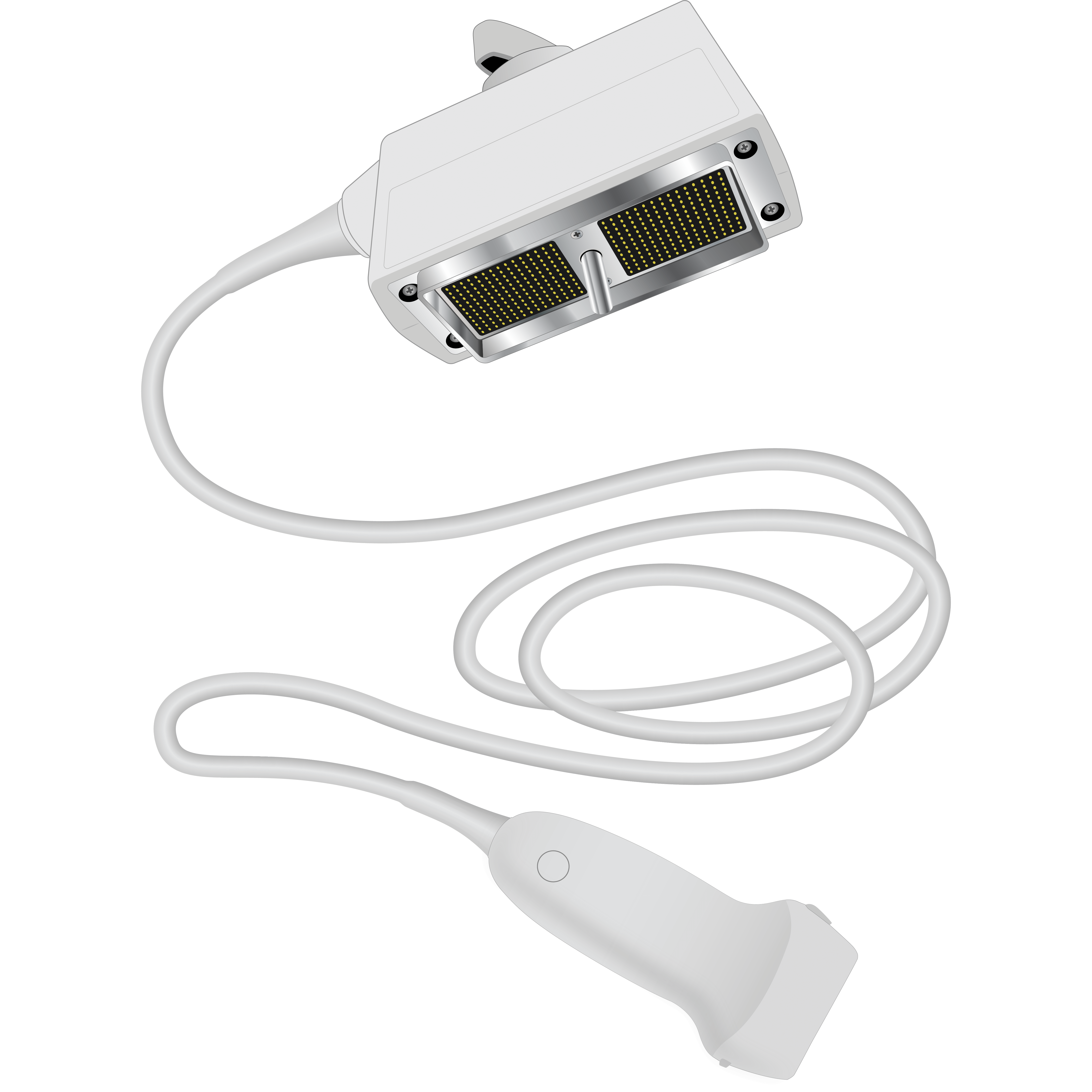 elzhen.com