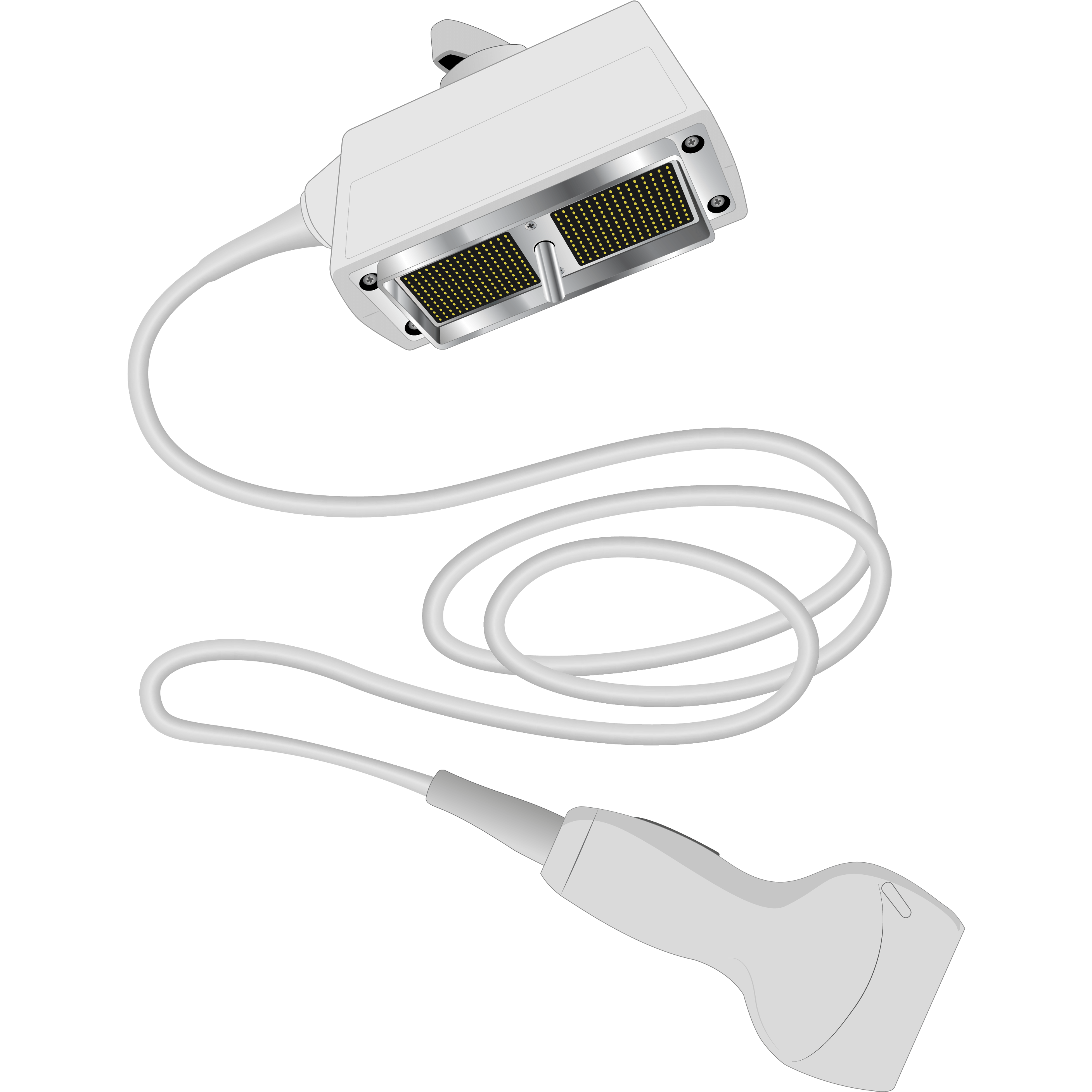 elzhen.com