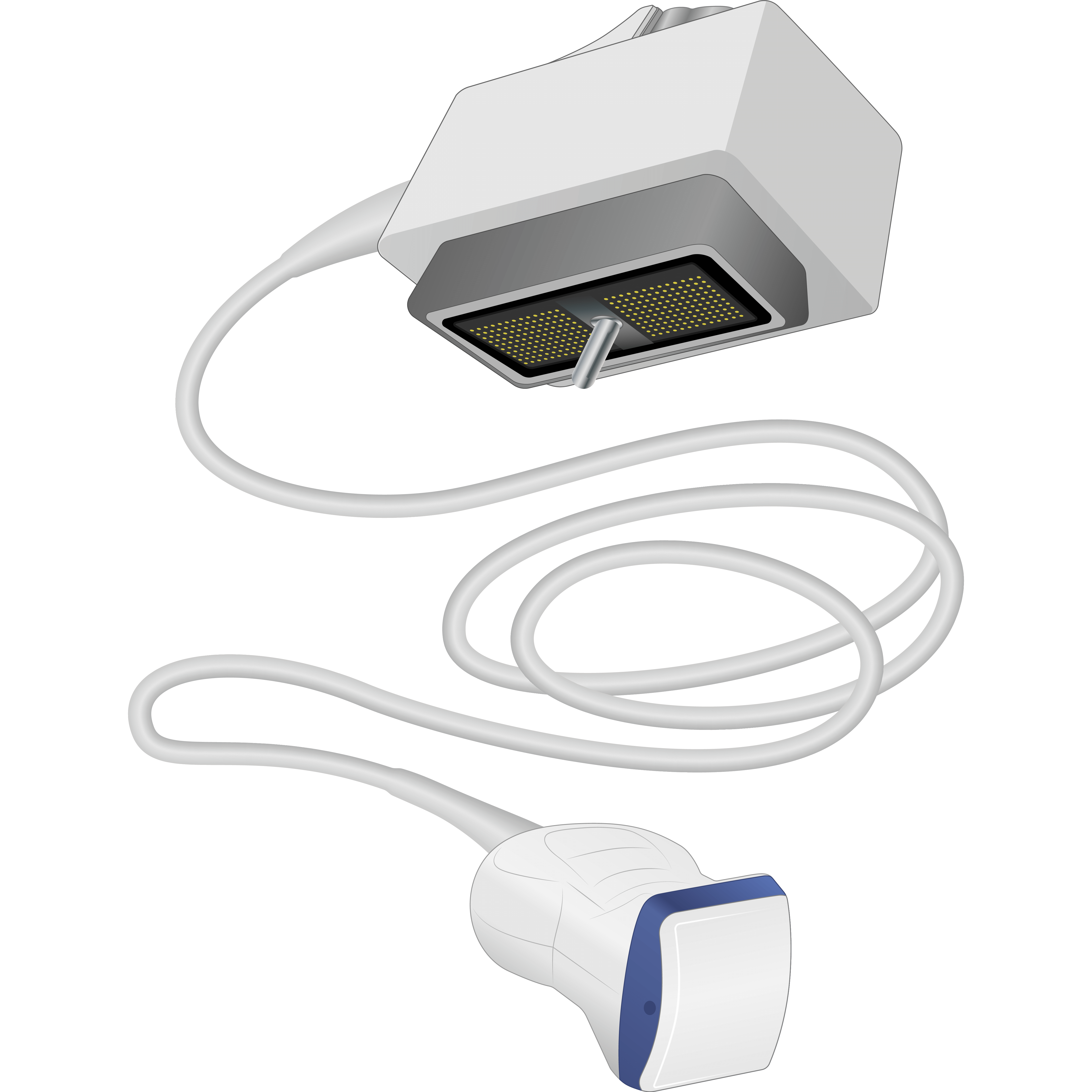 elzhen.com