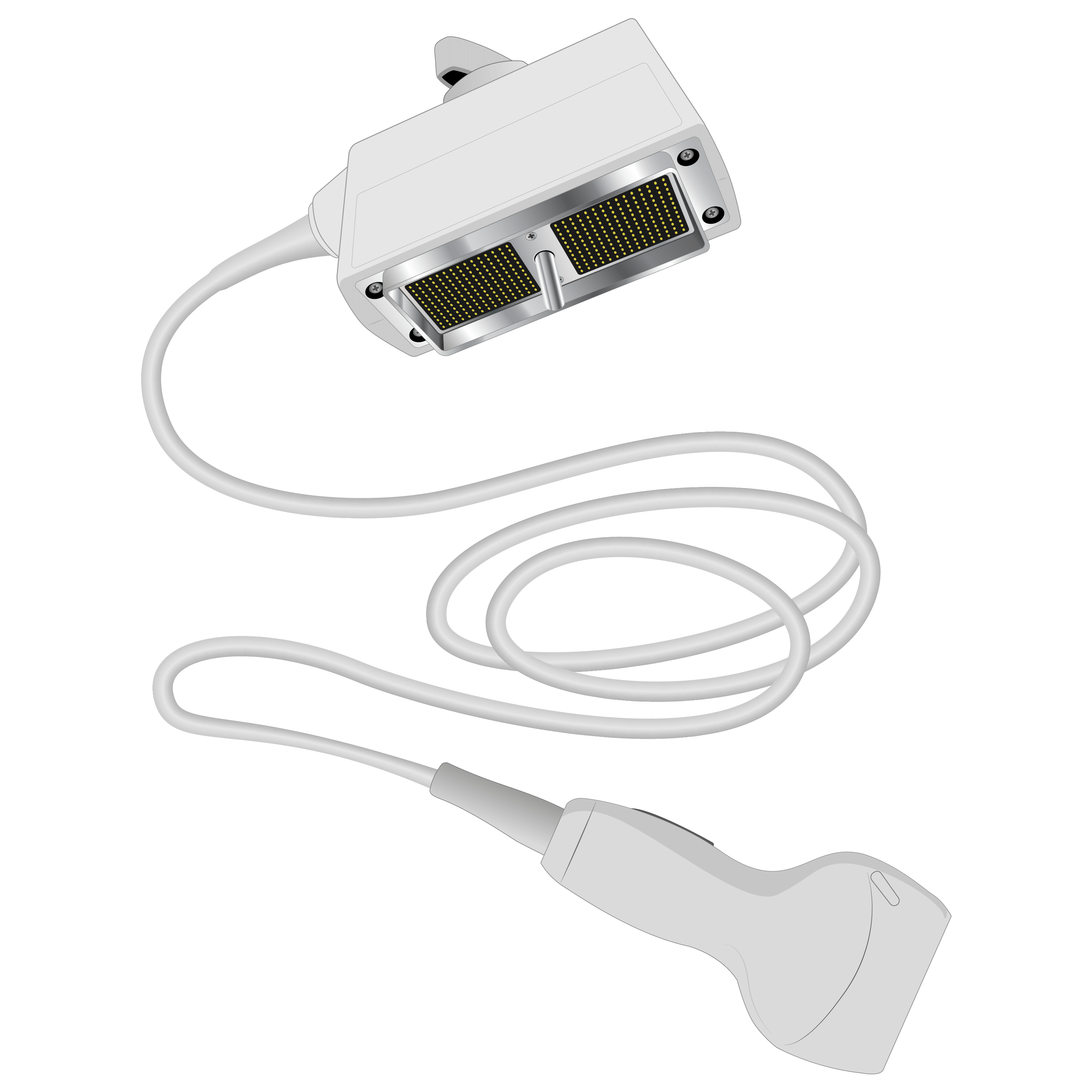 elzhen.com