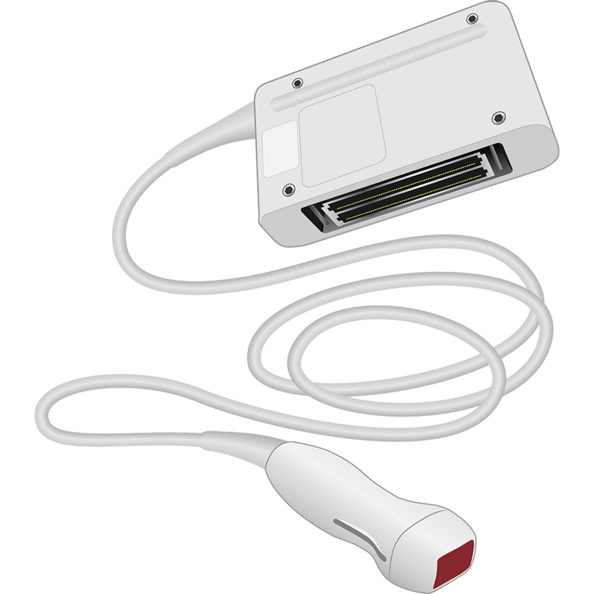 elzhen.com