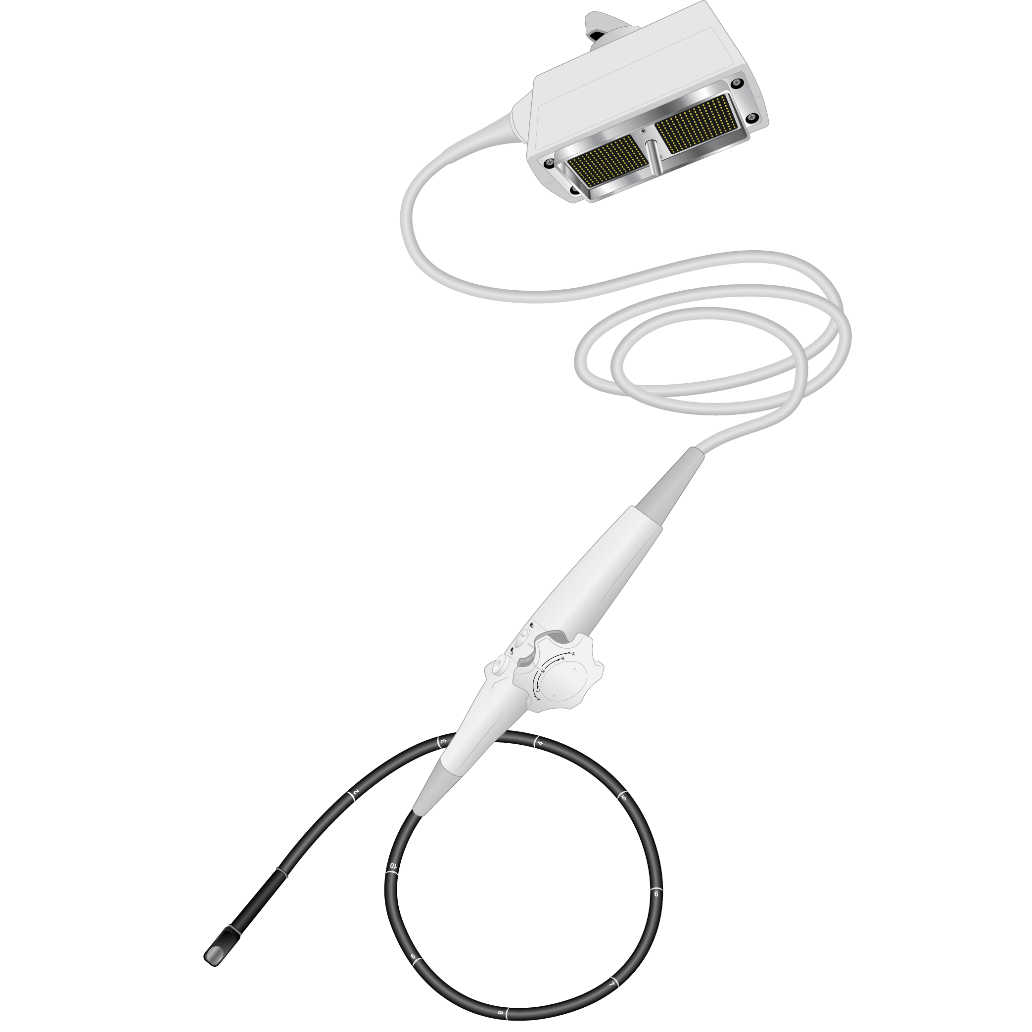 elzhen.com