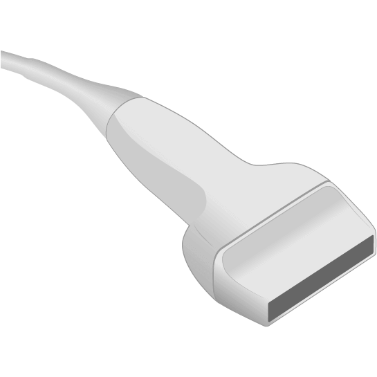 LH