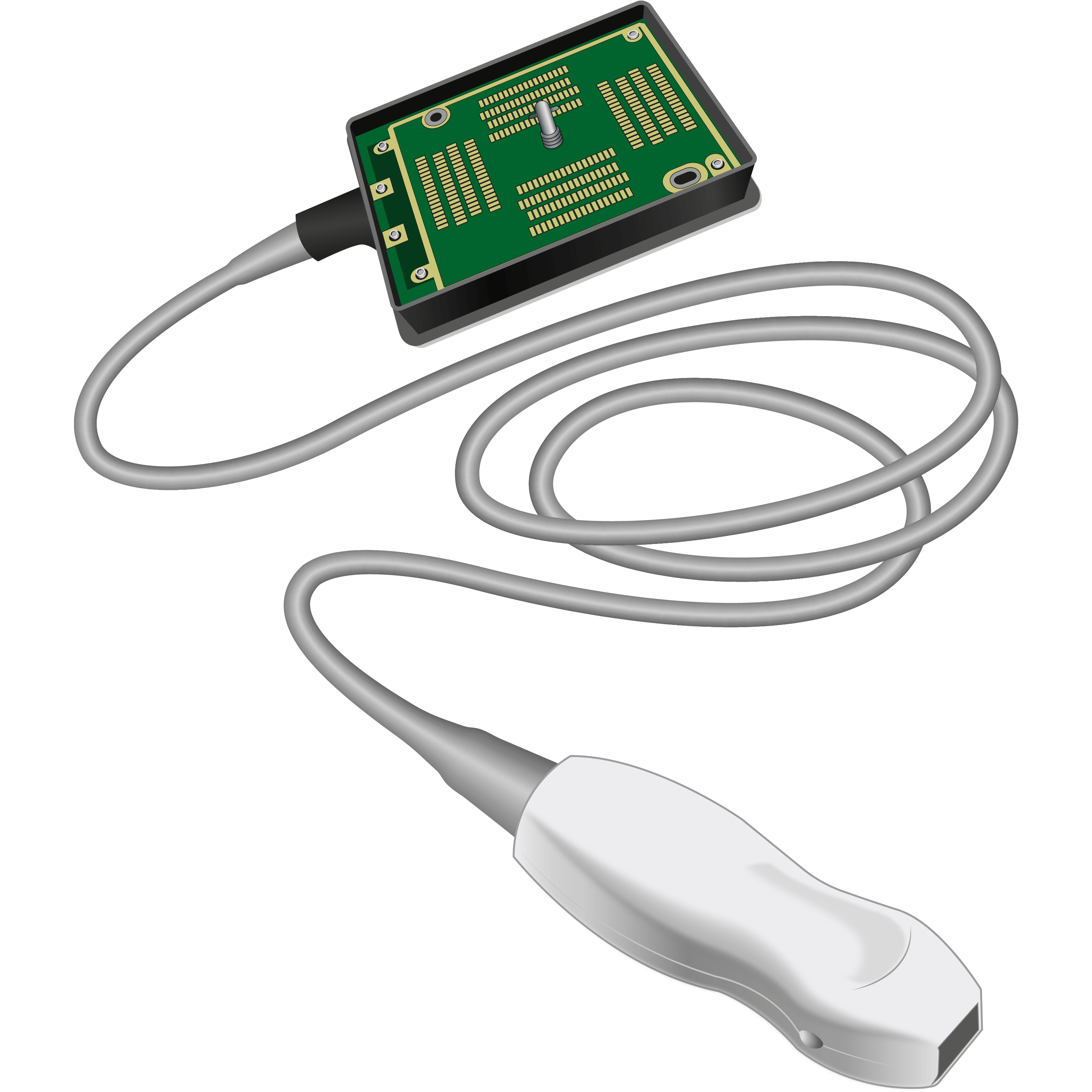 elzhen.com