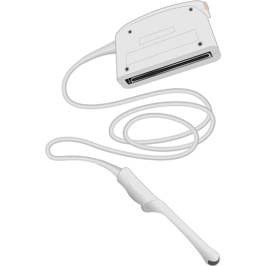 elzhen.com