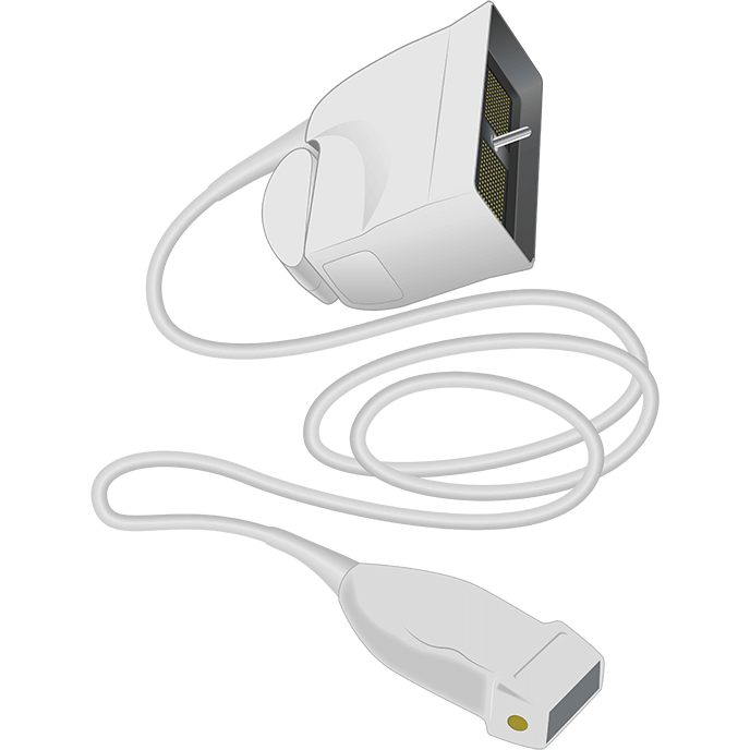 elzhen.com