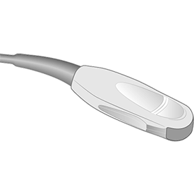 C11xp