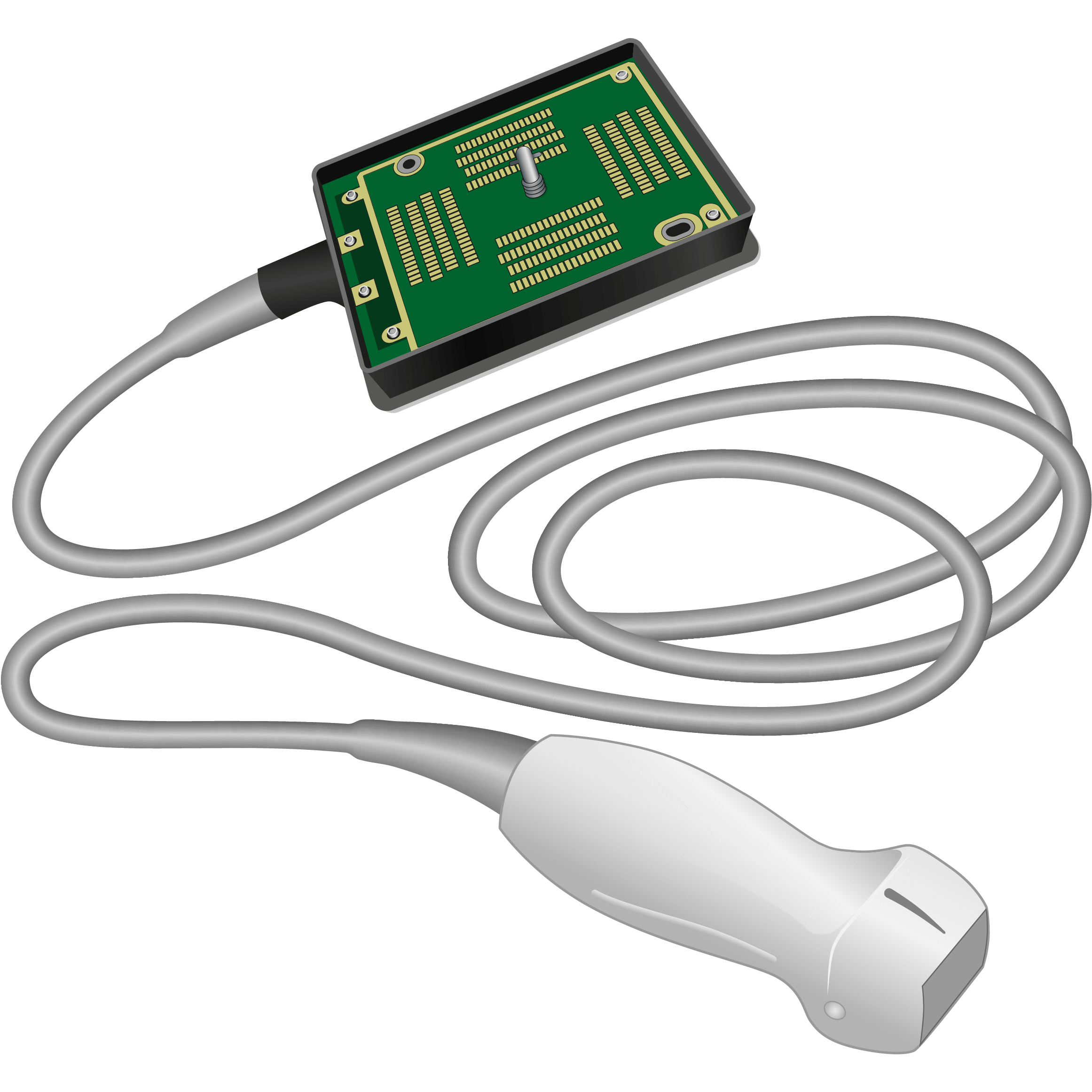 elzhen.com