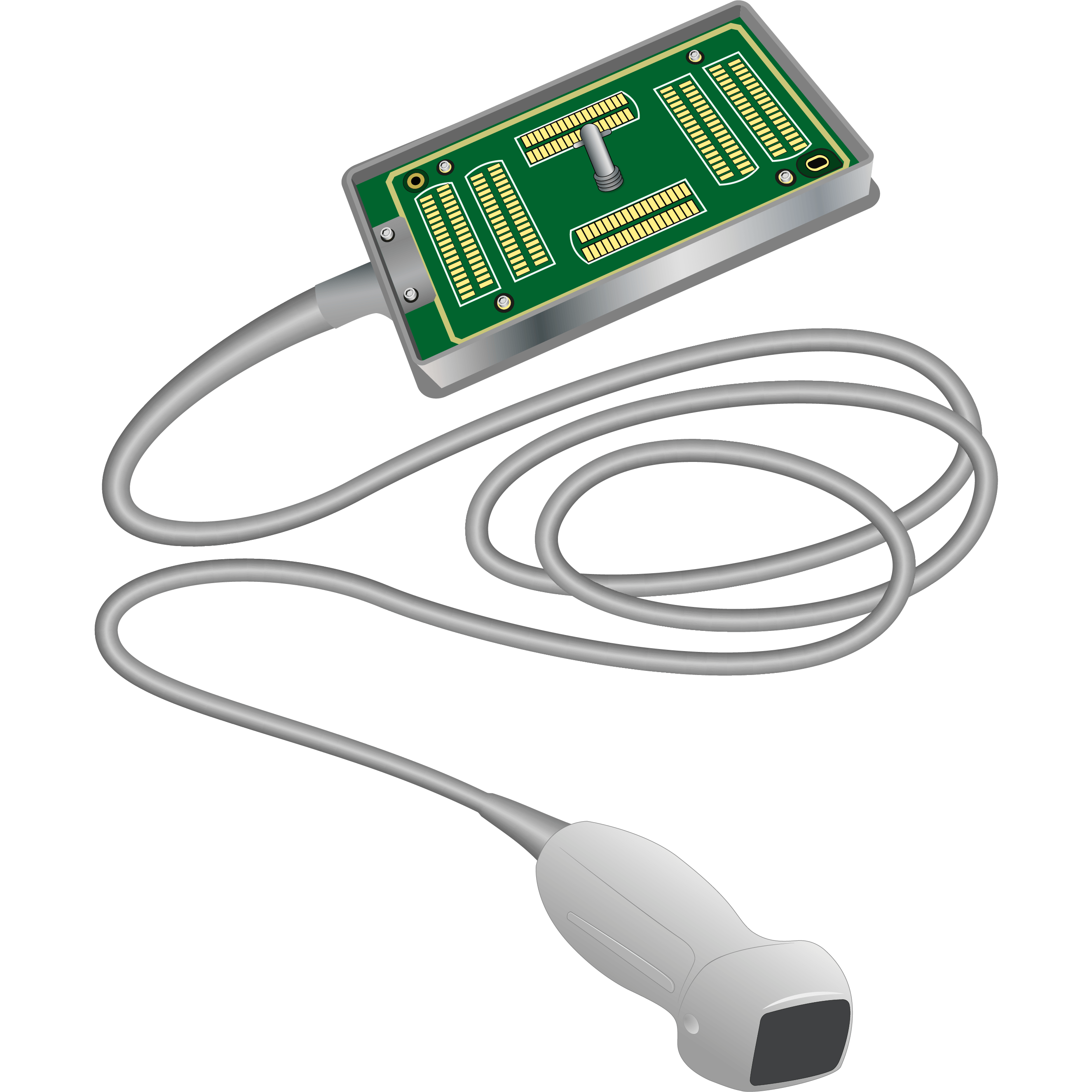 elzhen.com