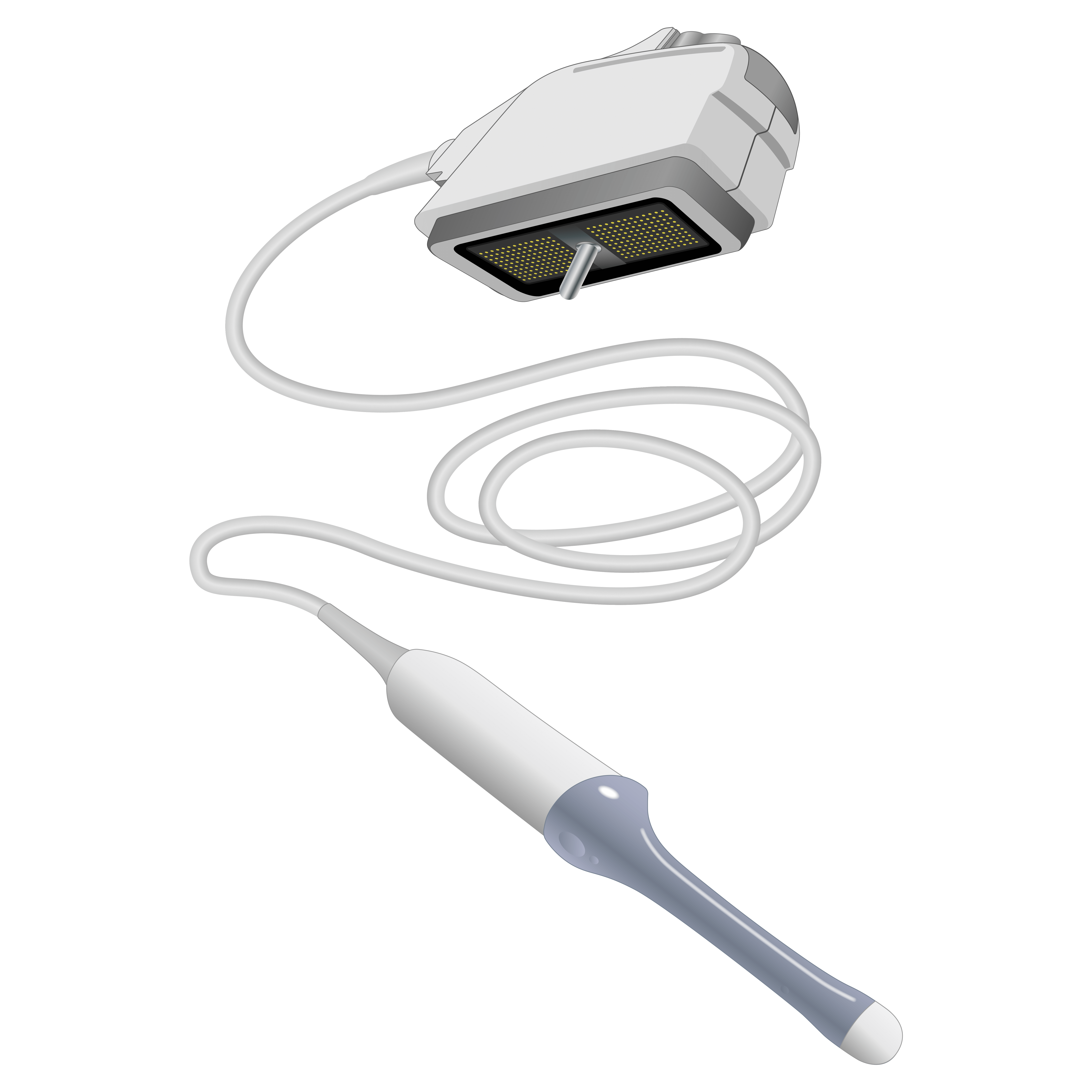 elzhen.com
